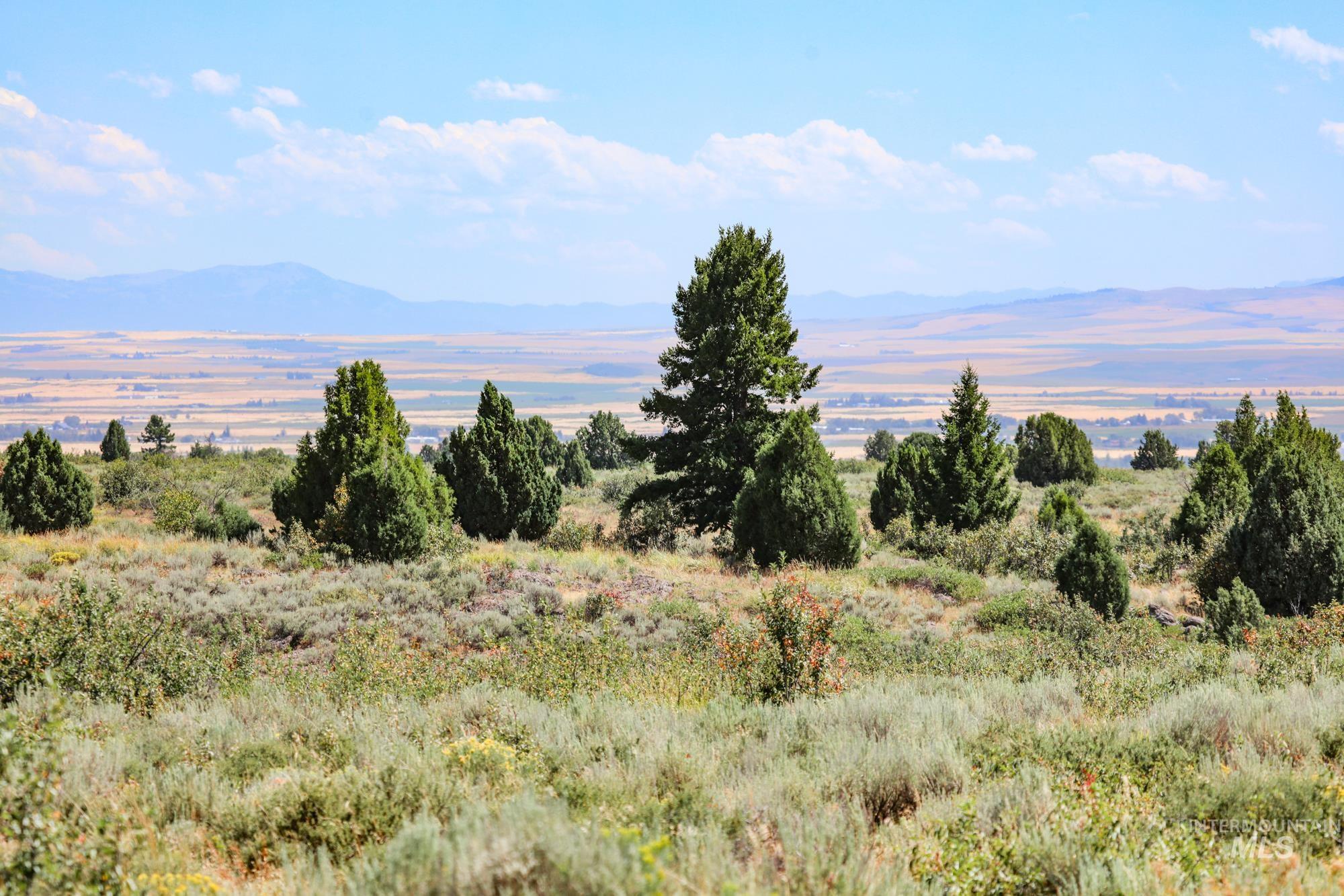 1780 Sadorus Hill Rd., Ashton, Idaho 83420, 2 Bedrooms, 1 Bathroom, Farm & Ranch For Sale, Price $9,000,000, 98920227