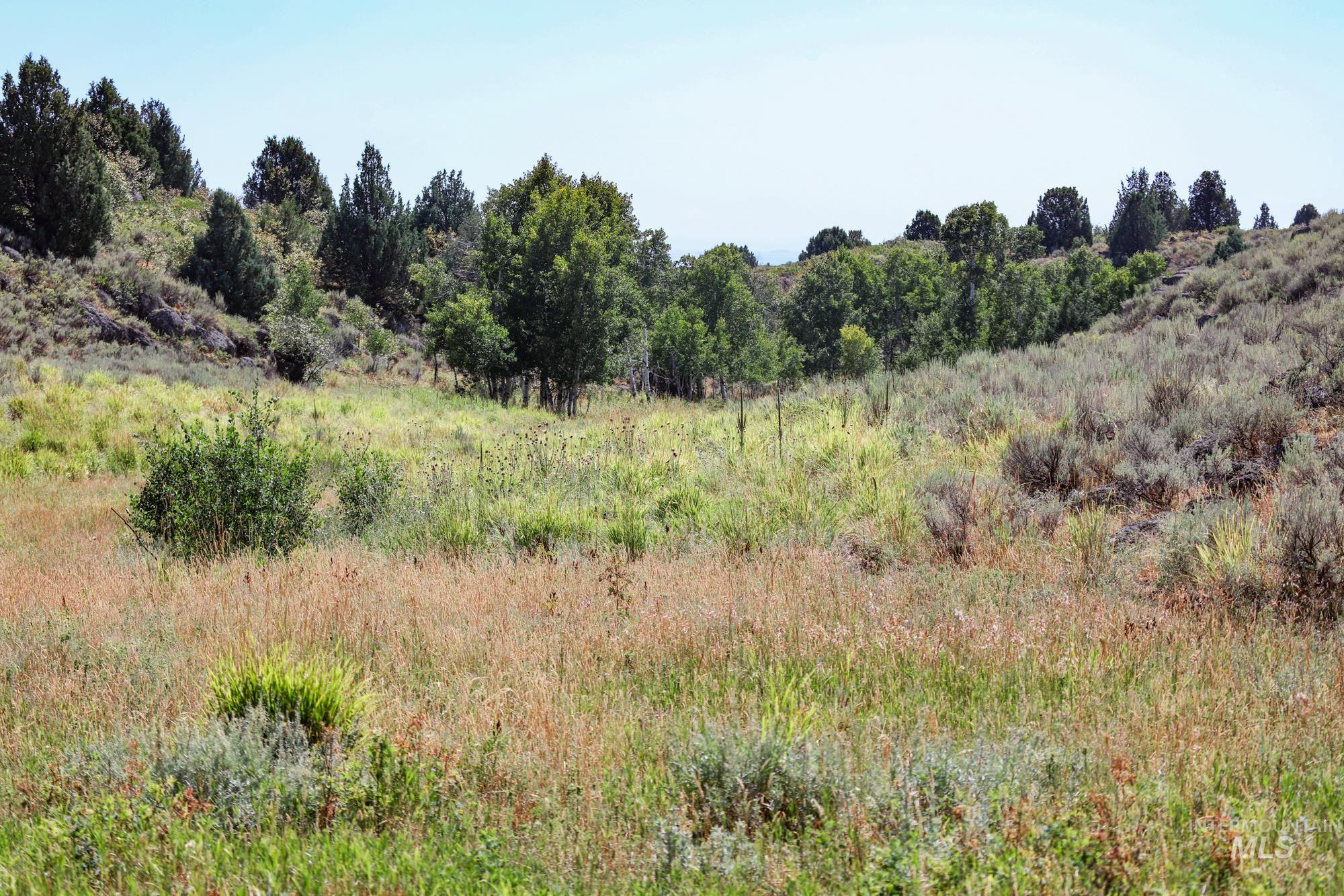 1780 Sadorus Hill Rd., Ashton, Idaho 83420, 2 Bedrooms, 1 Bathroom, Farm & Ranch For Sale, Price $9,000,000, 98920227