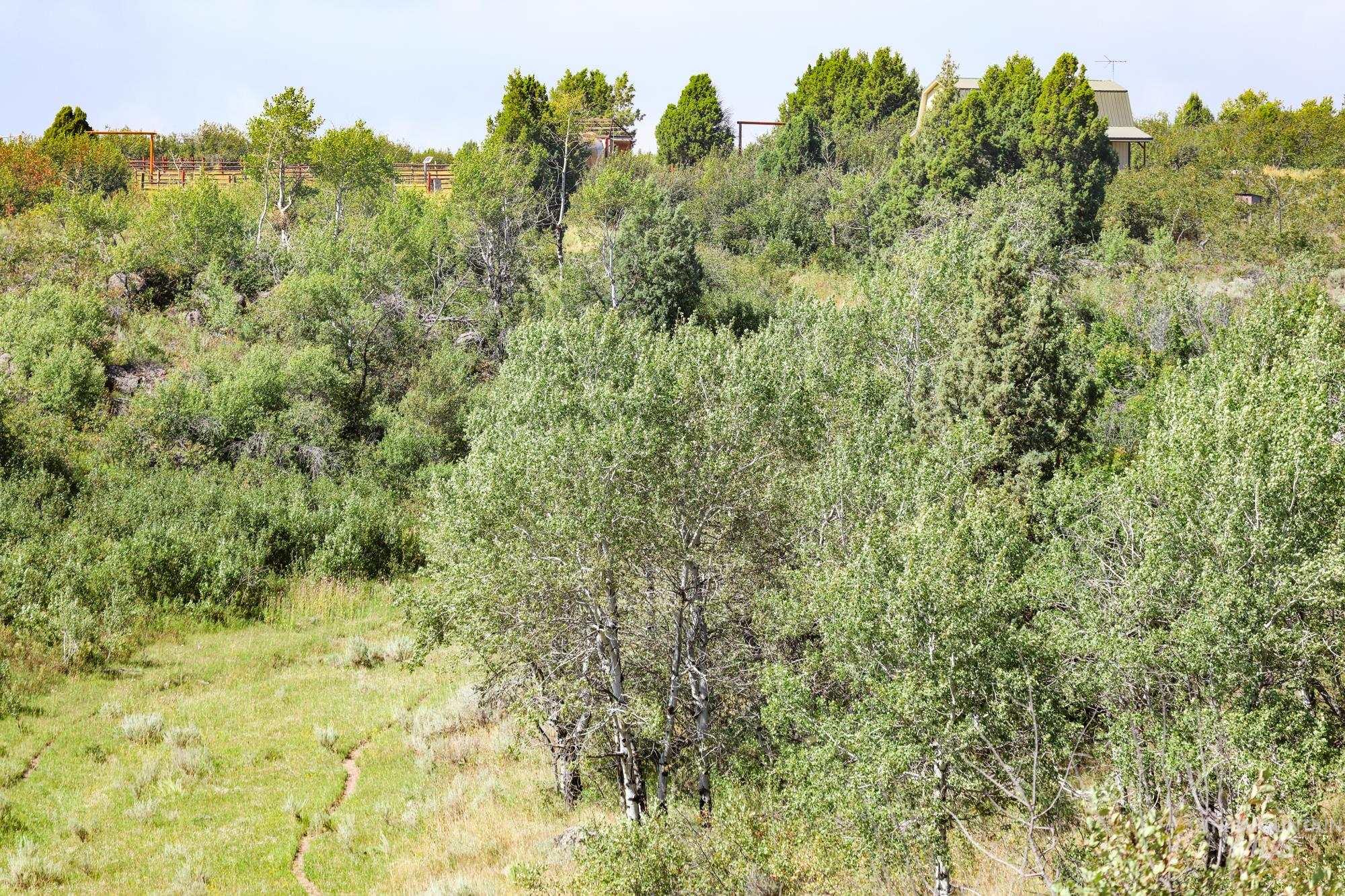1780 Sadorus Hill Rd., Ashton, Idaho 83420, 2 Bedrooms, 1 Bathroom, Farm & Ranch For Sale, Price $9,000,000, 98920227