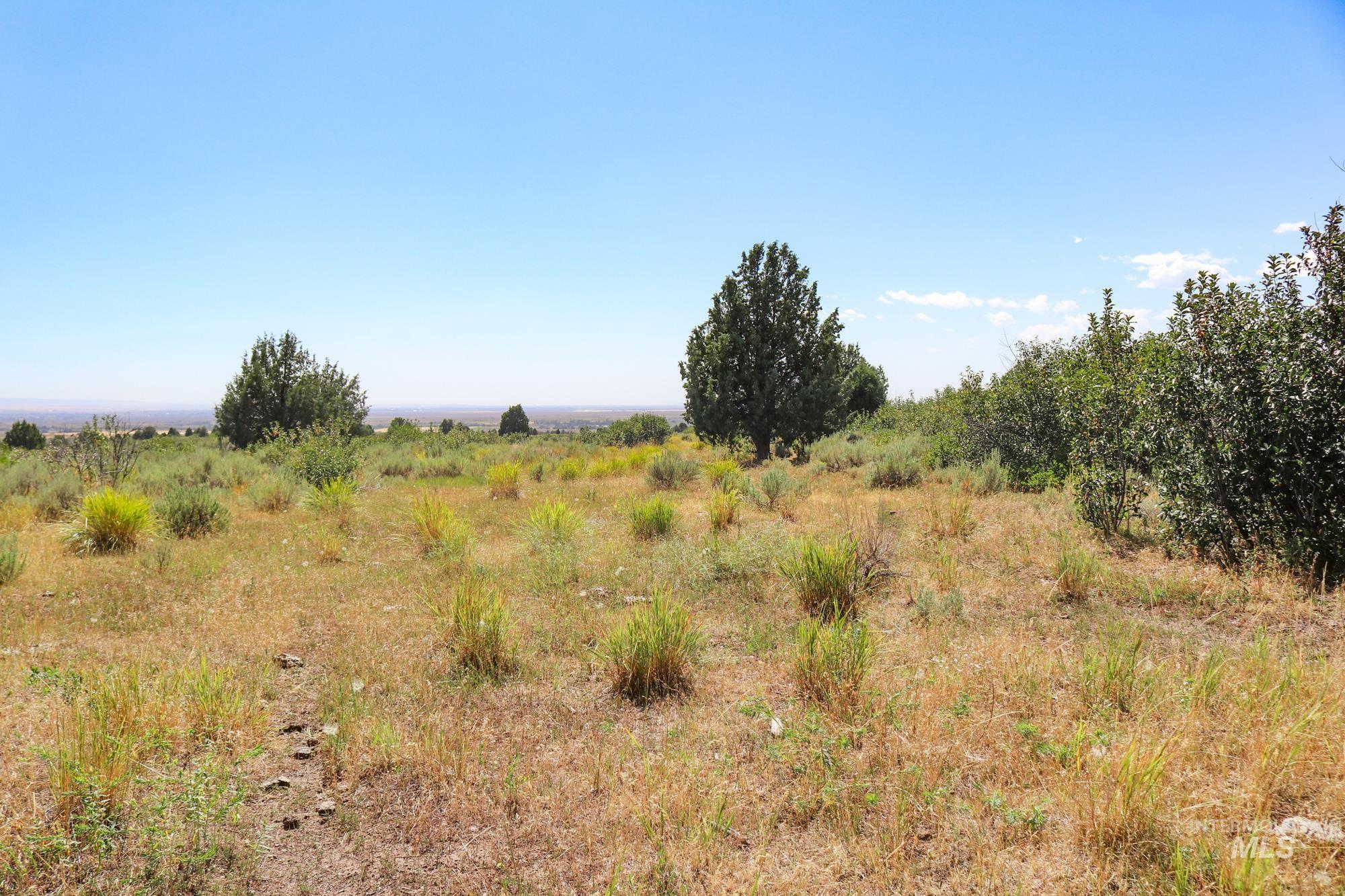 1780 Sadorus Hill Rd., Ashton, Idaho 83420, 2 Bedrooms, 1 Bathroom, Farm & Ranch For Sale, Price $9,000,000, 98920227