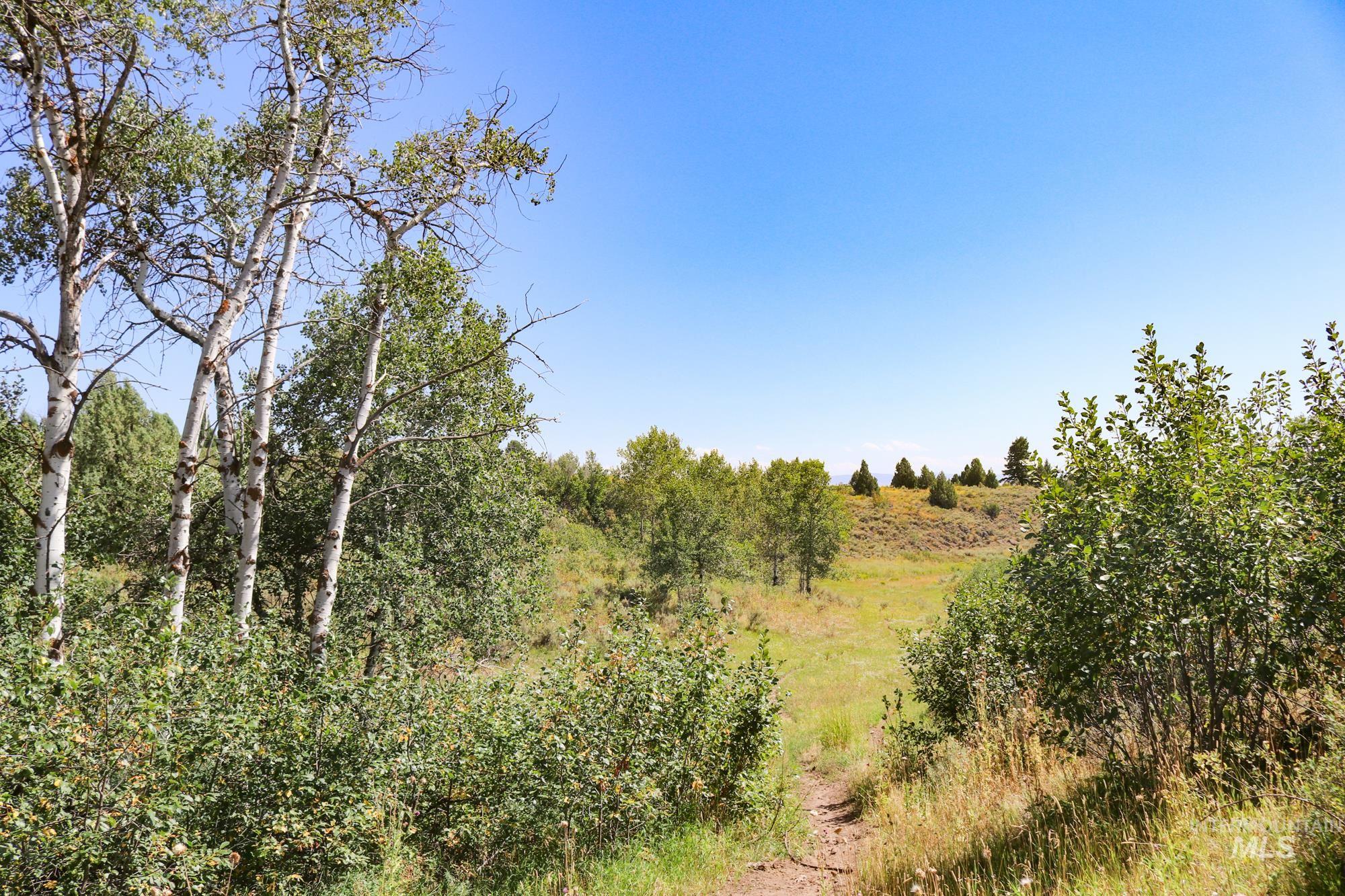 1780 Sadorus Hill Rd., Ashton, Idaho 83420, 2 Bedrooms, 1 Bathroom, Farm & Ranch For Sale, Price $9,000,000, 98920227