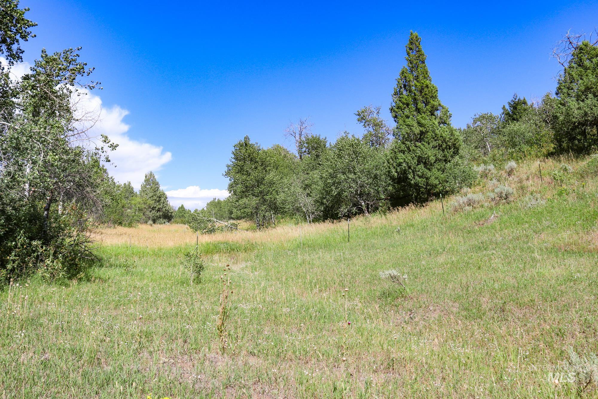 1780 Sadorus Hill Rd., Ashton, Idaho 83420, 2 Bedrooms, 1 Bathroom, Farm & Ranch For Sale, Price $9,000,000, 98920227