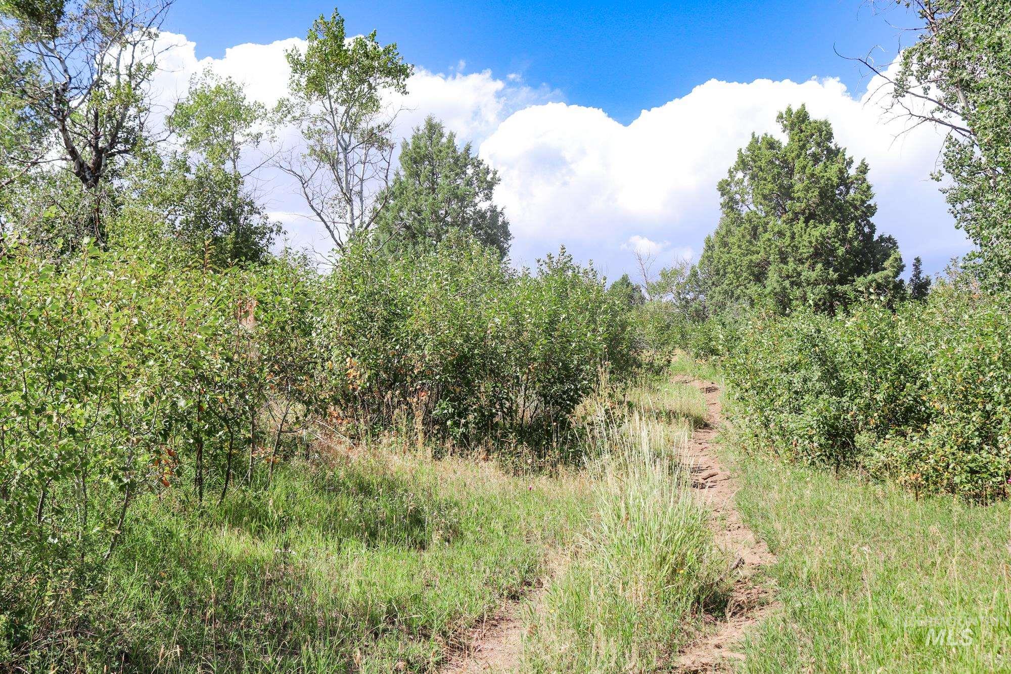1780 Sadorus Hill Rd., Ashton, Idaho 83420, 2 Bedrooms, 1 Bathroom, Farm & Ranch For Sale, Price $9,000,000, 98920227