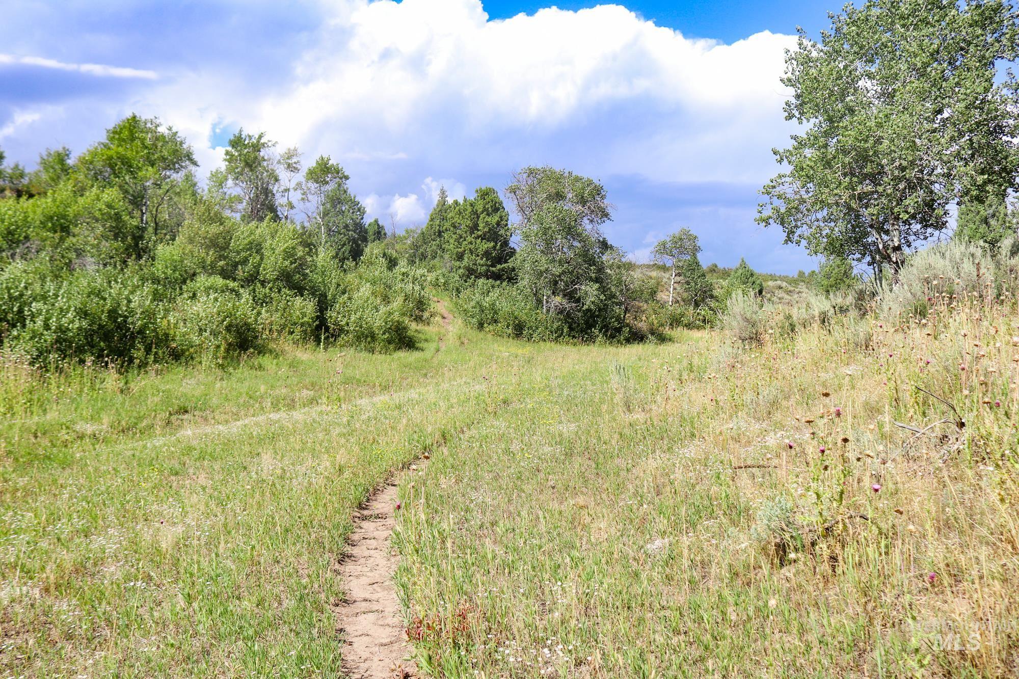1780 Sadorus Hill Rd., Ashton, Idaho 83420, 2 Bedrooms, 1 Bathroom, Farm & Ranch For Sale, Price $9,000,000, 98920227