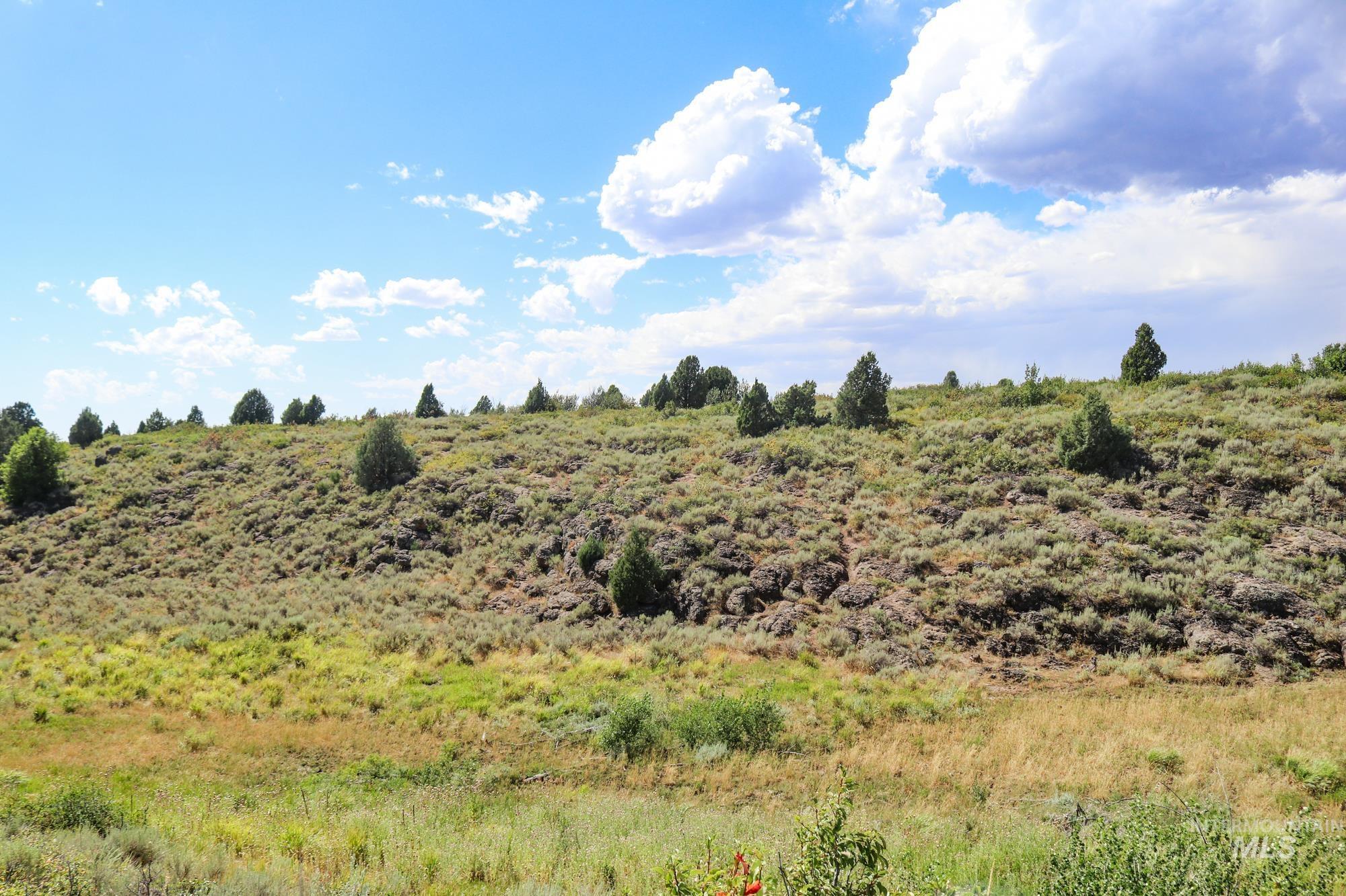 1780 Sadorus Hill Rd., Ashton, Idaho 83420, 2 Bedrooms, 1 Bathroom, Farm & Ranch For Sale, Price $9,000,000, 98920227