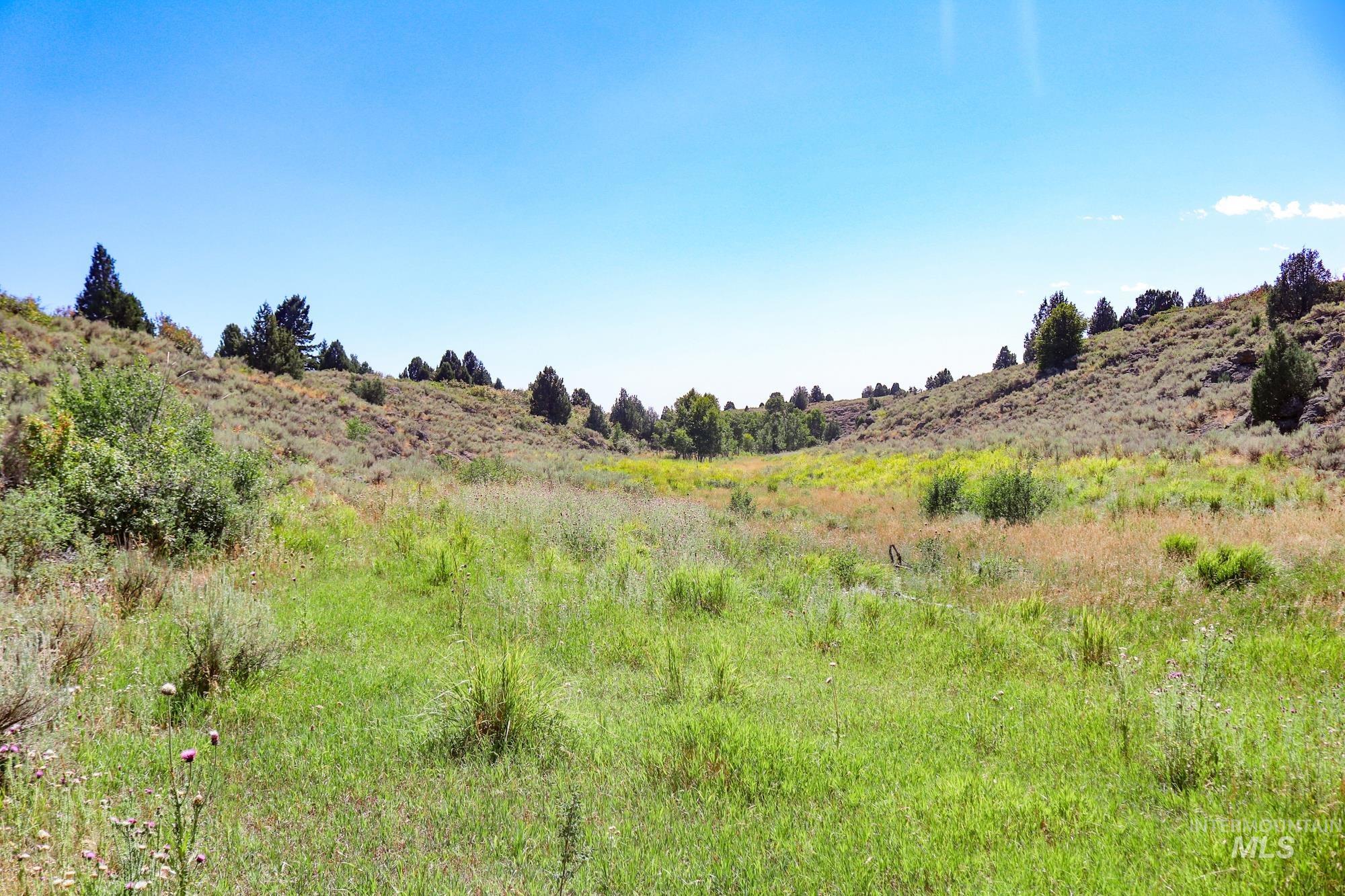 1780 Sadorus Hill Rd., Ashton, Idaho 83420, 2 Bedrooms, 1 Bathroom, Farm & Ranch For Sale, Price $9,000,000, 98920227