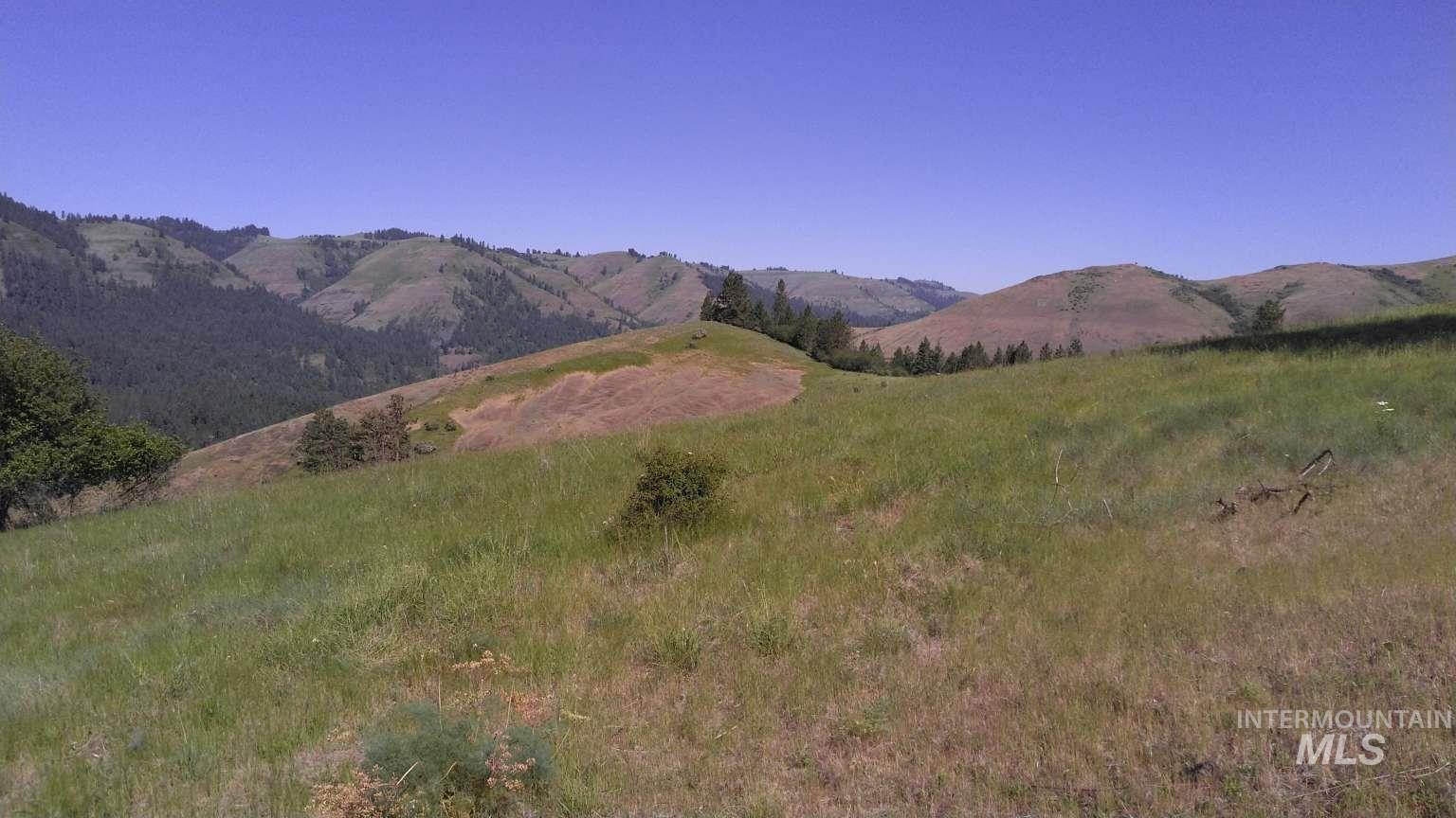 000 Hwy 13. Mt Stewart, Kooskia, Idaho 83539, Land For Sale, Price $1,400,000,MLS 98920247