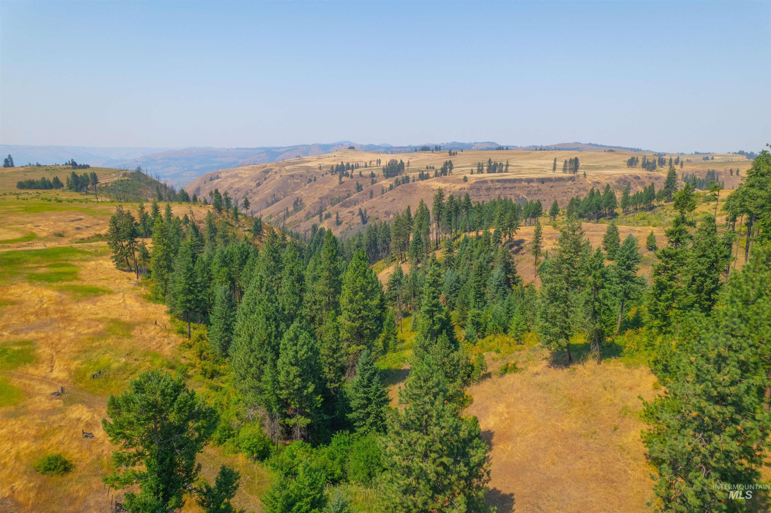 TBD Beaverslide Rd, Kamiah, Idaho 83536, Land For Sale, Price $199,000, 98920317