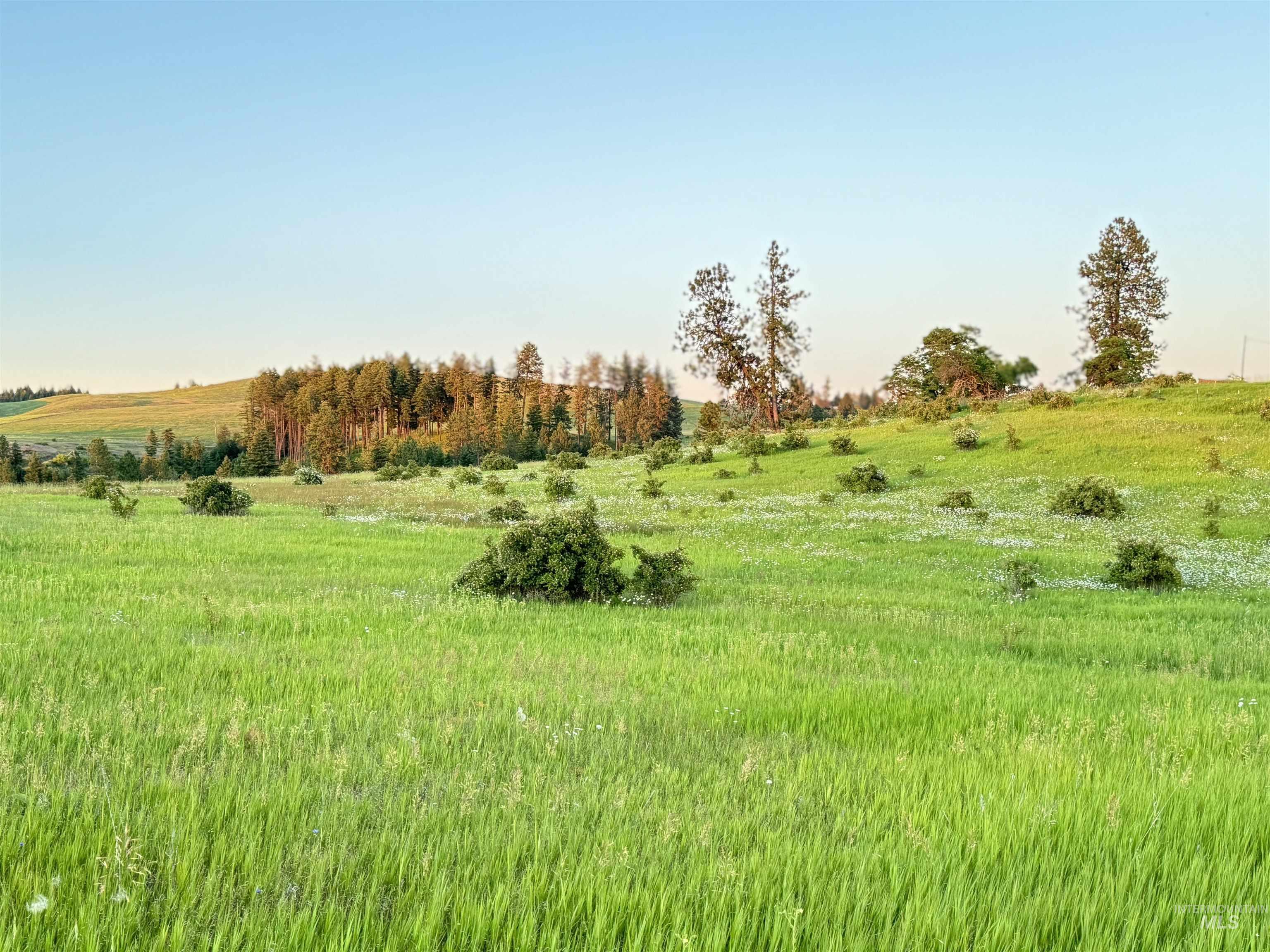 TBD Beaverslide Rd, Kamiah, Idaho 83536, Land For Sale, Price $589,000, 98920318