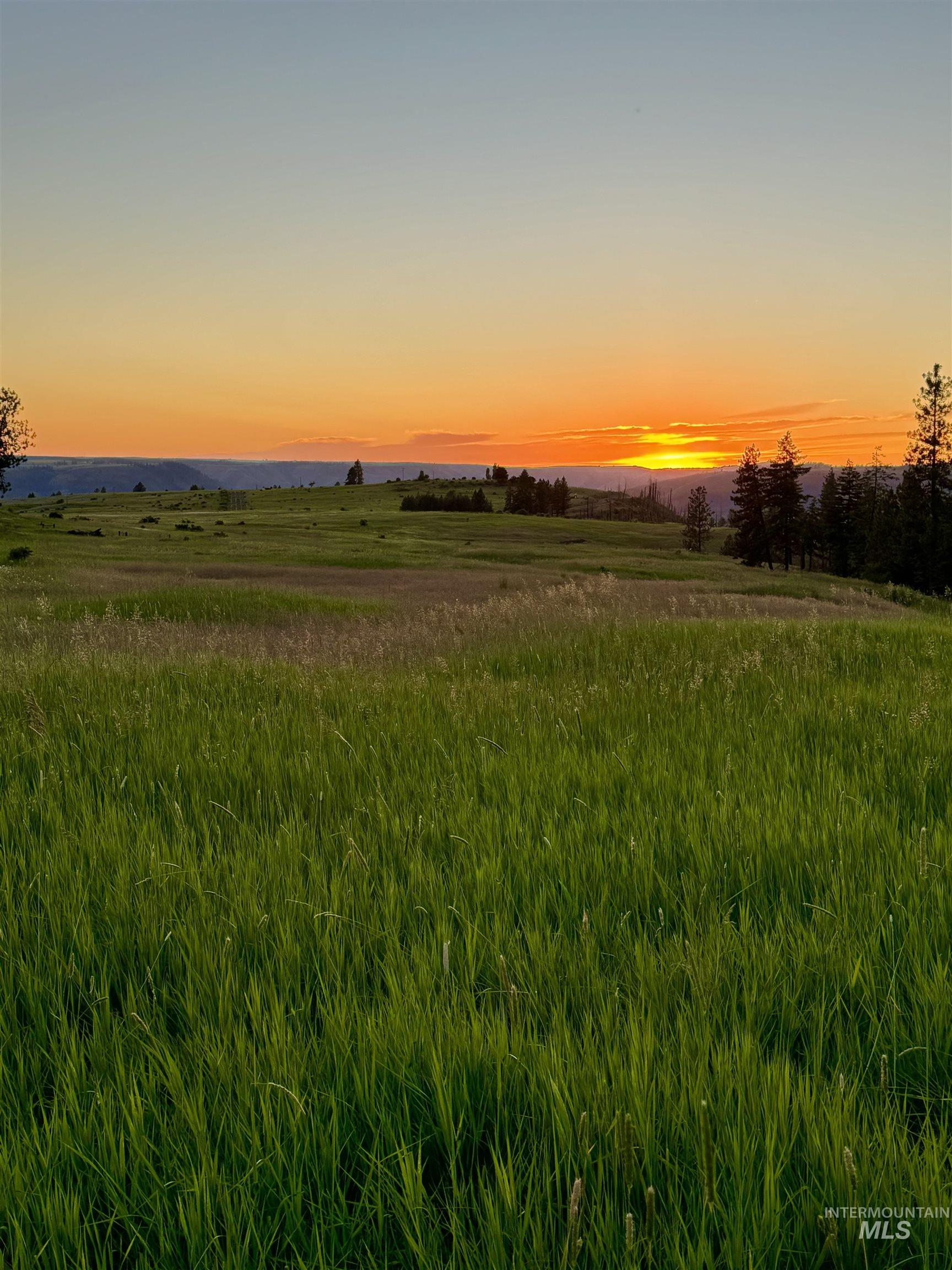 TBD Beaverslide Rd, Kamiah, Idaho 83536, Land For Sale, Price $589,000, 98920318