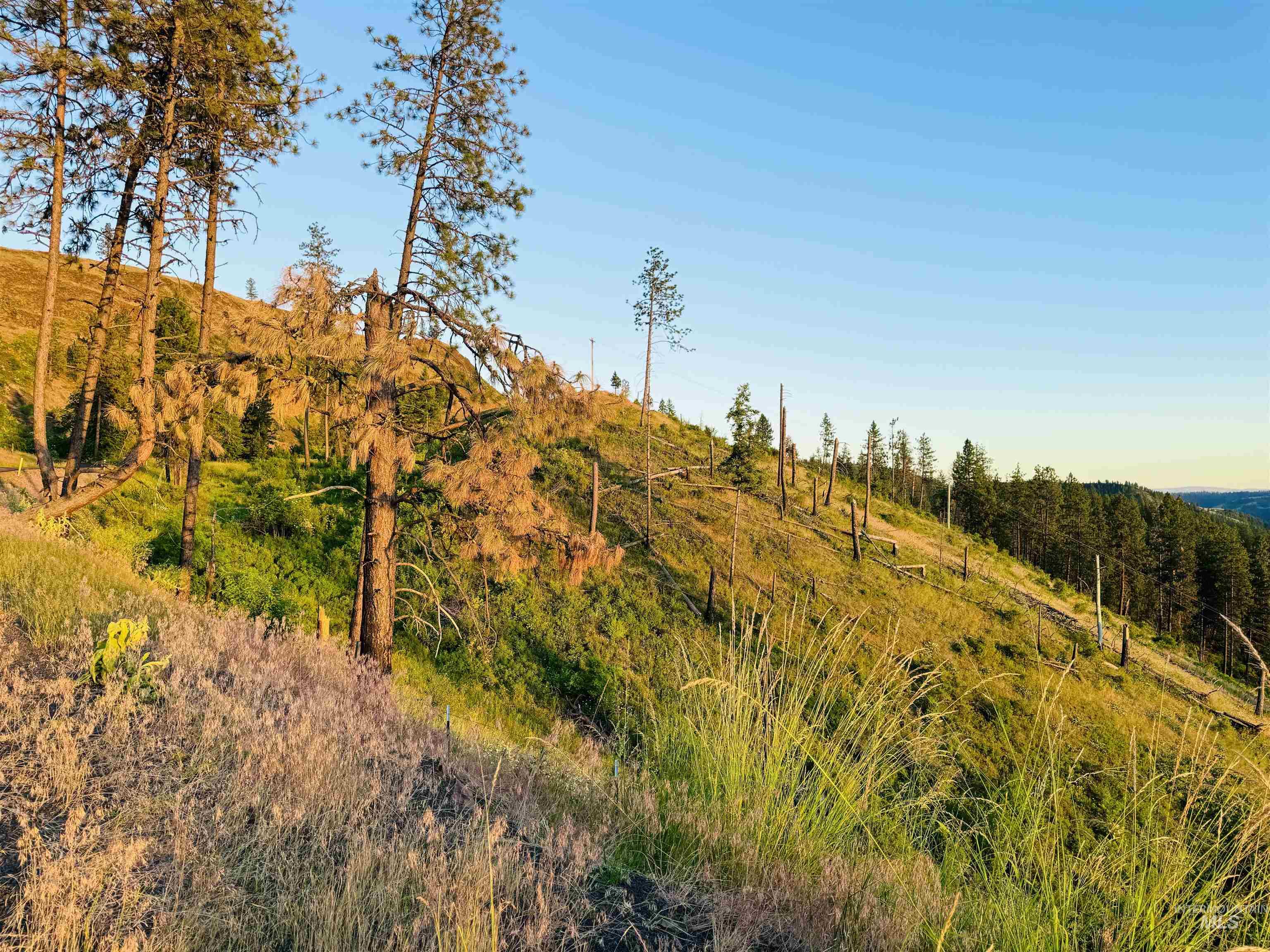 TBD Lot #2 Beaverslide Rd, Kamiah, Idaho 83536, Land For Sale, Price $529,000, 98920319