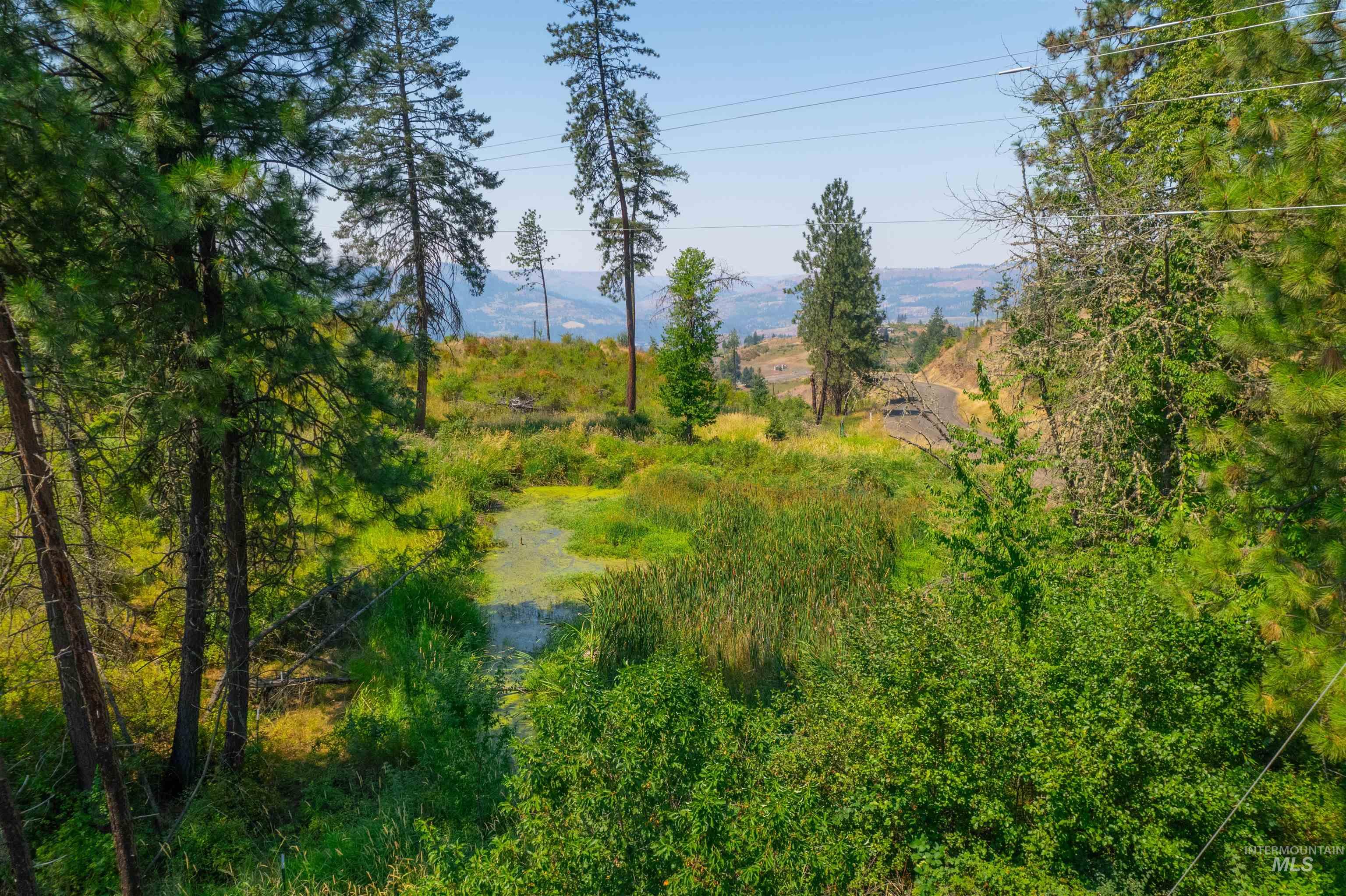 TBD Lot #2 Beaverslide Rd, Kamiah, Idaho 83536, Land For Sale, Price $529,000, 98920319