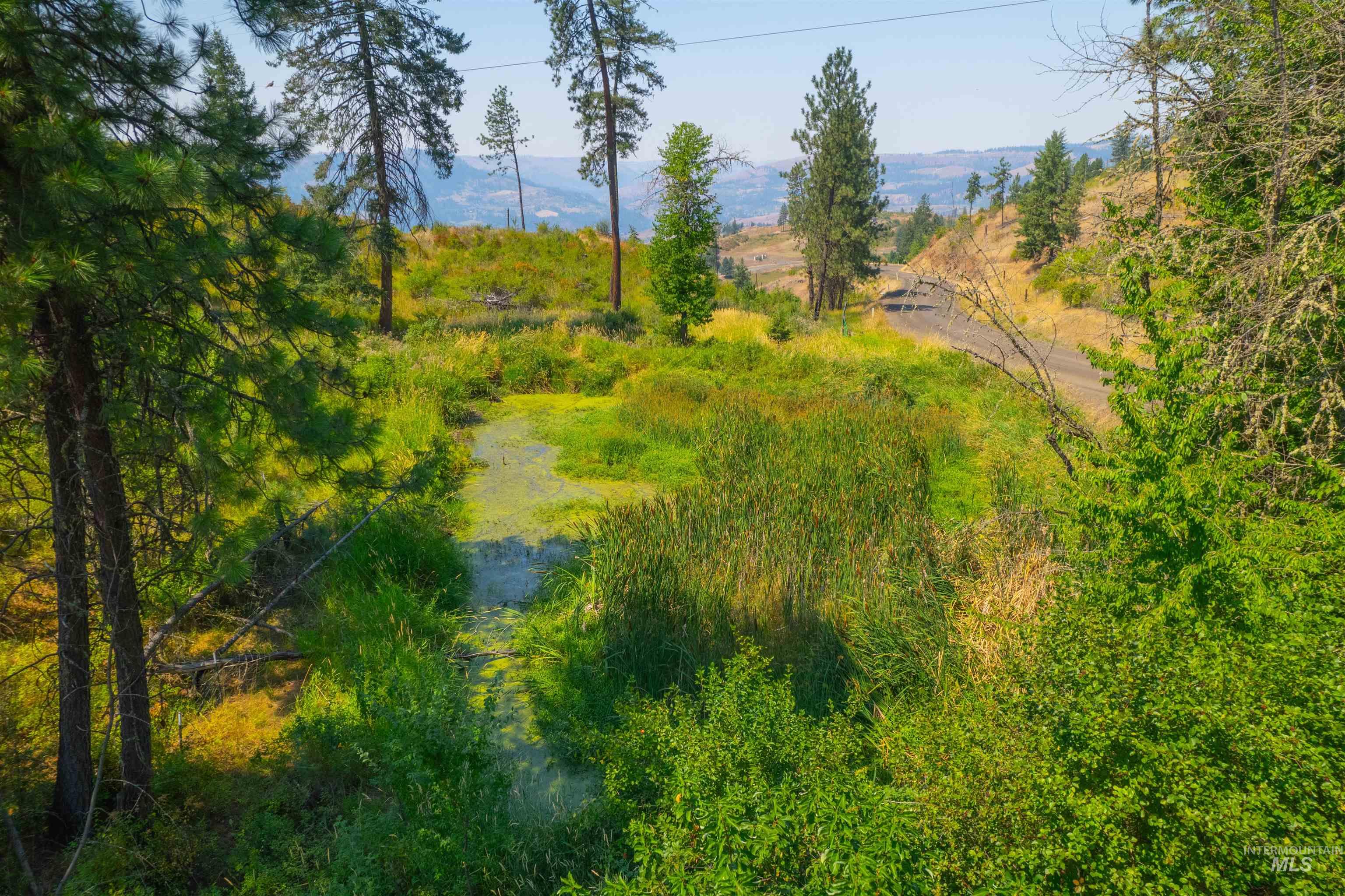 TBD Lot #2 Beaverslide Rd, Kamiah, Idaho 83536, Land For Sale, Price $529,000, 98920319