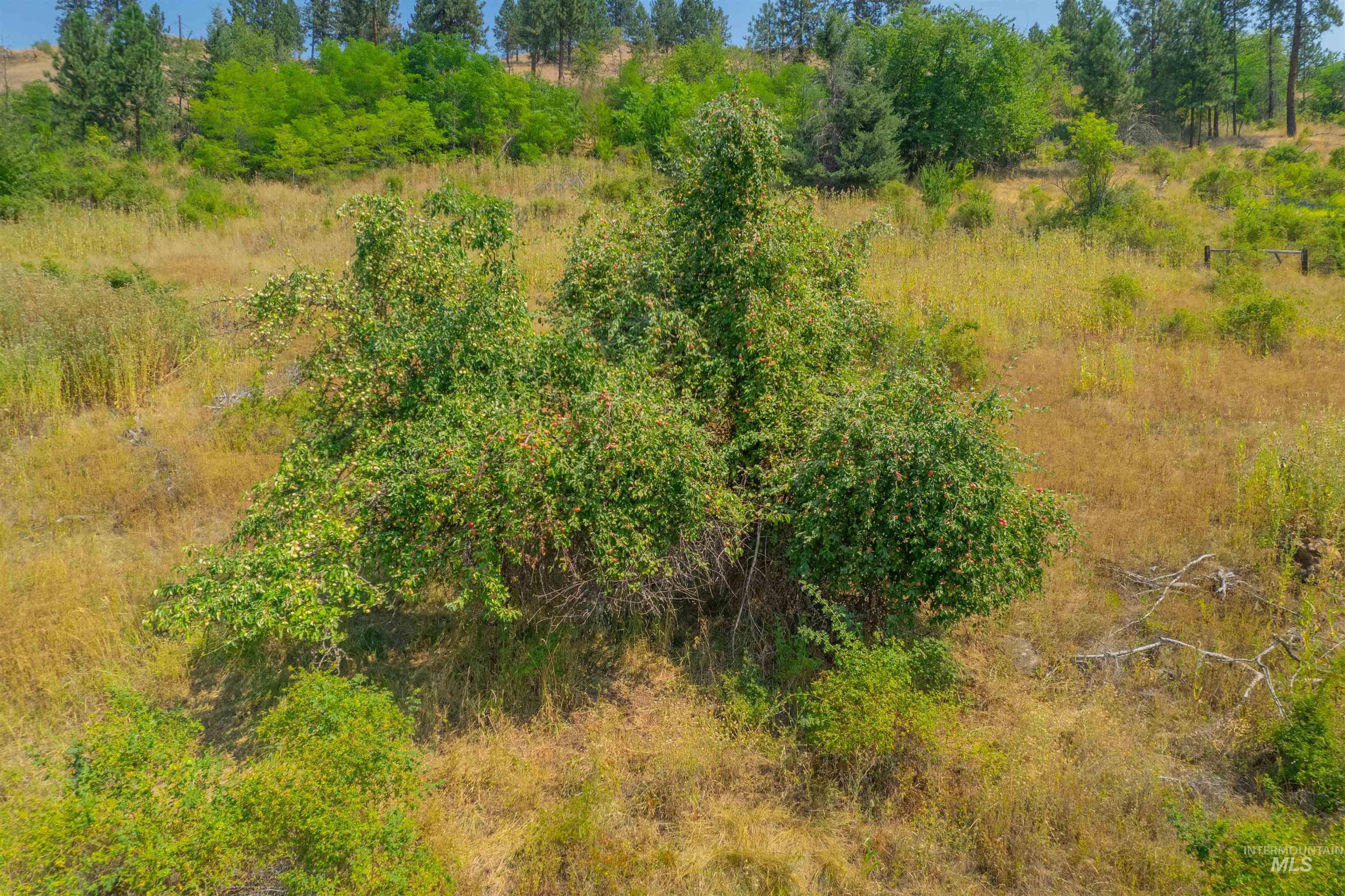 TBD Lot #2 Beaverslide Rd, Kamiah, Idaho 83536, Land For Sale, Price $529,000, 98920319