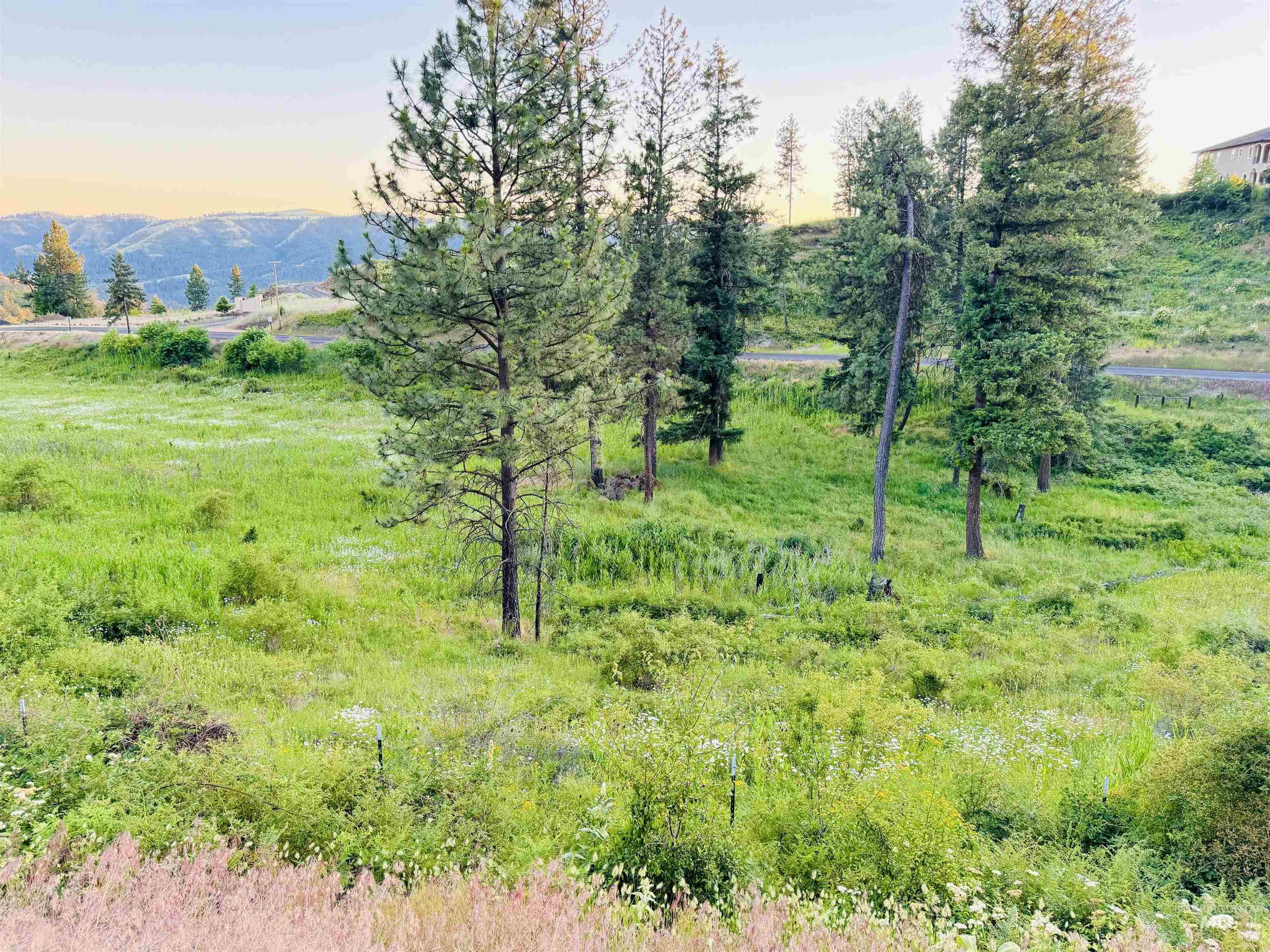 TBD Lot #2 Beaverslide Rd, Kamiah, Idaho 83536, Land For Sale, Price $529,000, 98920319