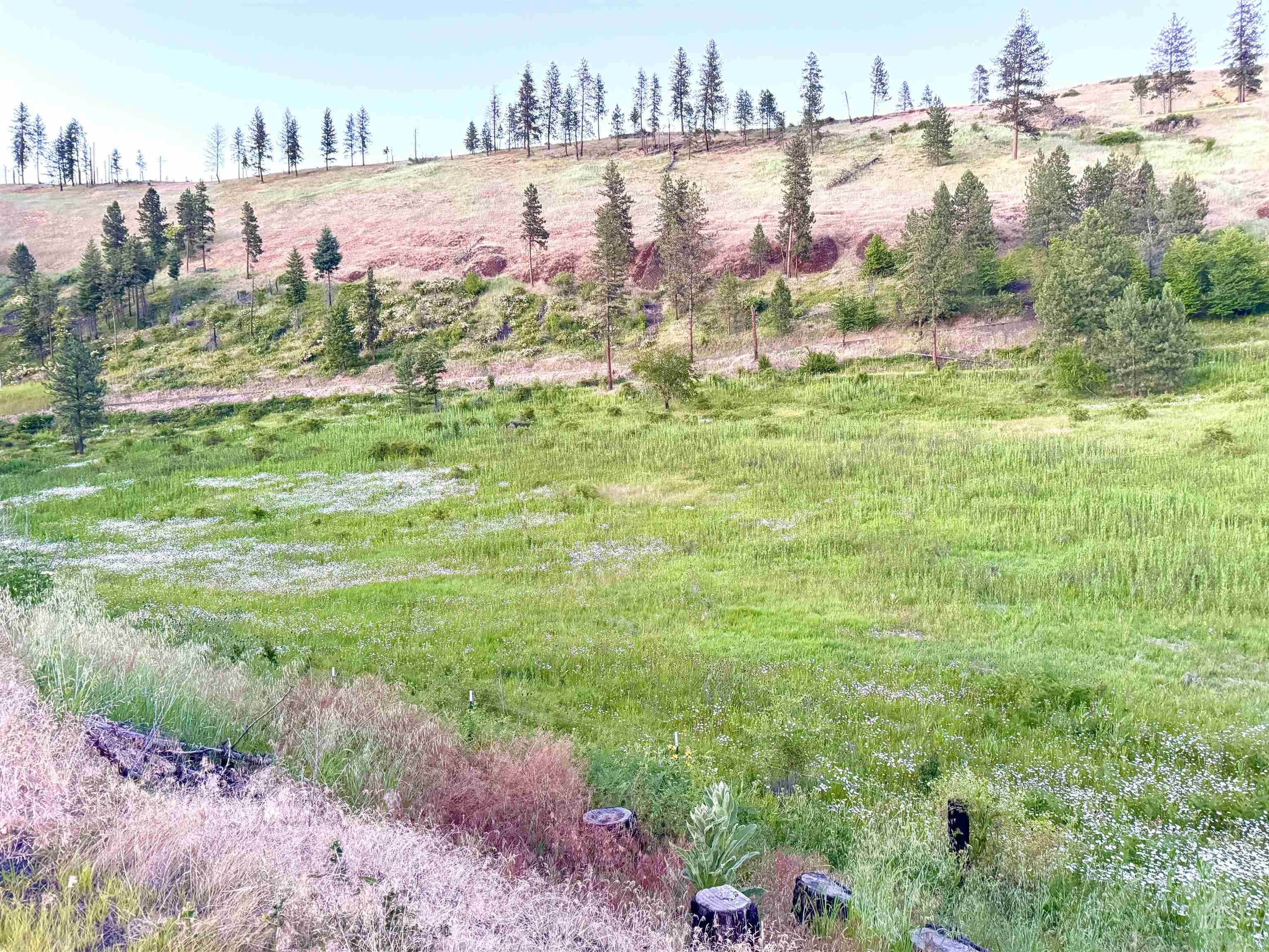 TBD Lot #2 Beaverslide Rd, Kamiah, Idaho 83536, Land For Sale, Price $529,000, 98920319