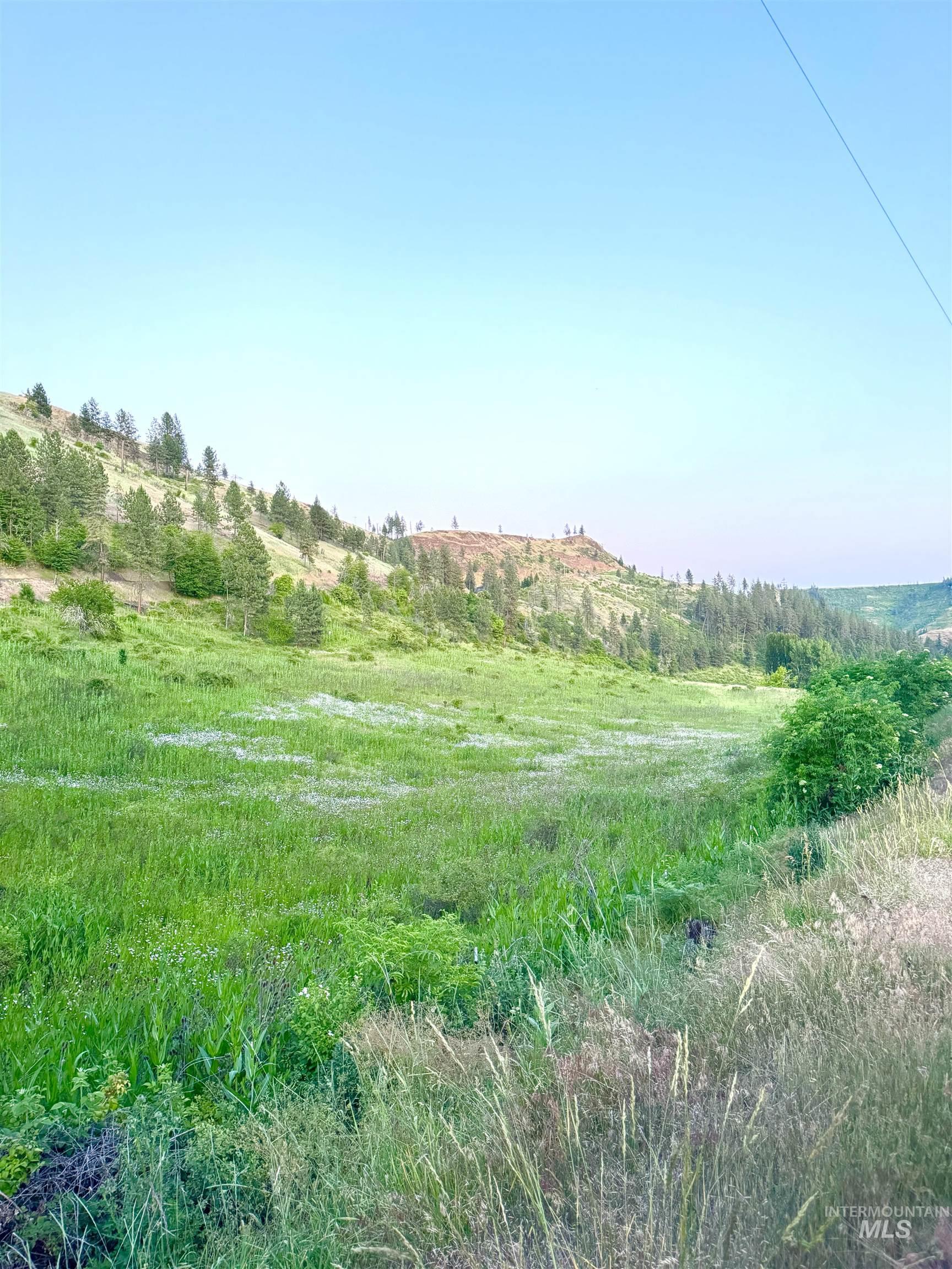 TBD Lot #2 Beaverslide Rd, Kamiah, Idaho 83536, Land For Sale, Price $529,000, 98920319