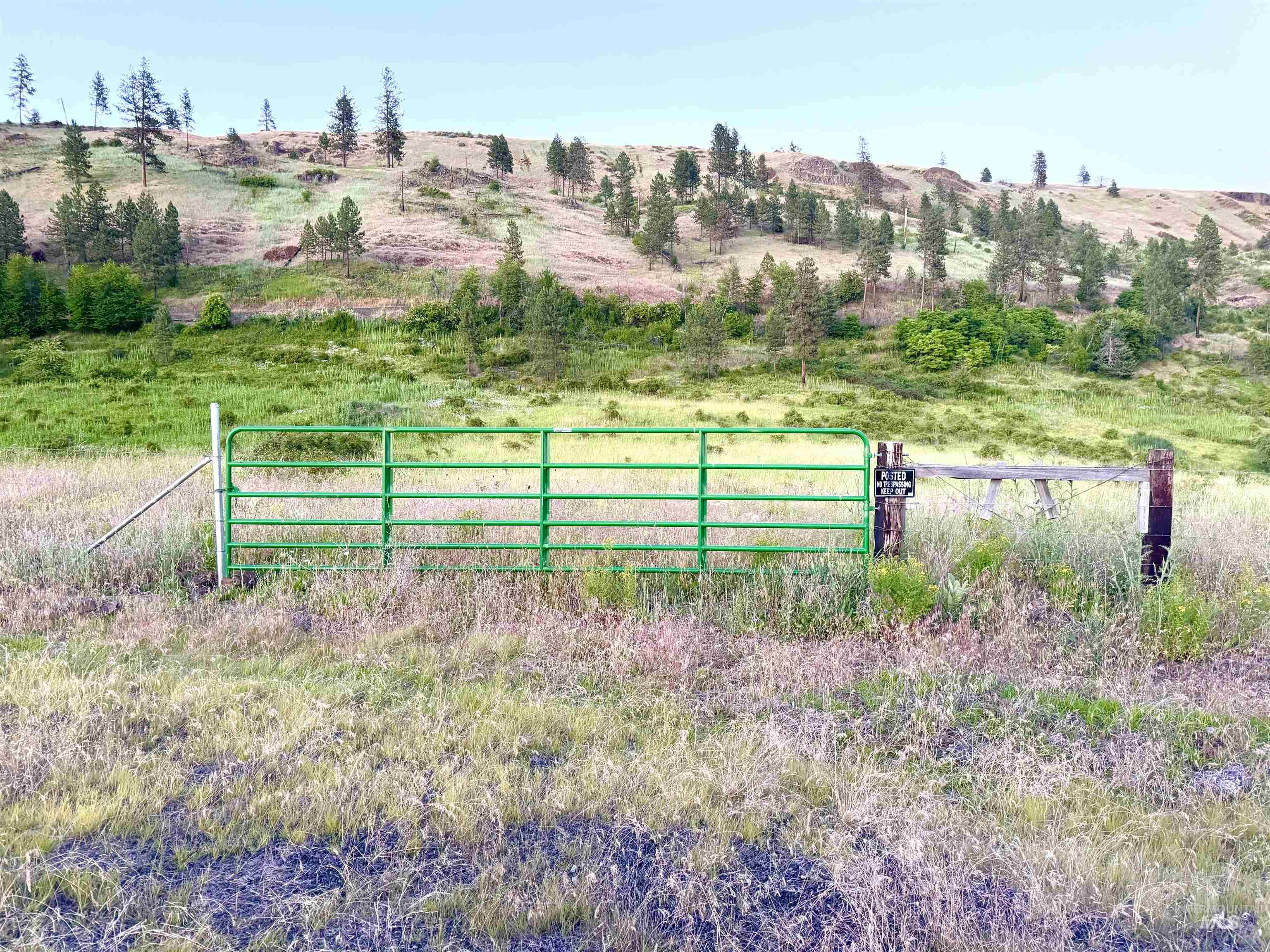 TBD Lot #2 Beaverslide Rd, Kamiah, Idaho 83536, Land For Sale, Price $529,000, 98920319