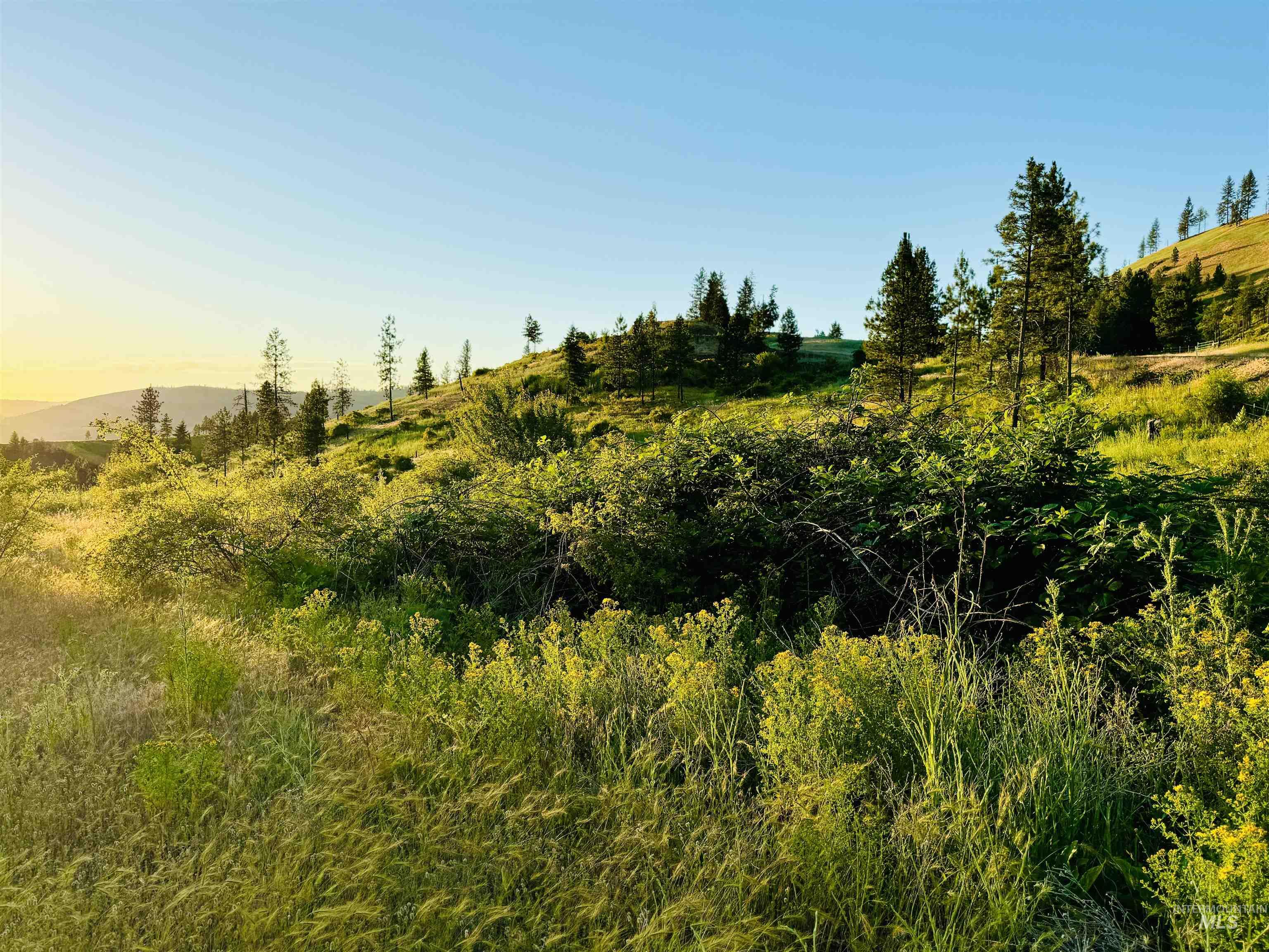 TBD Lot #3 Beaverslide Rd, Kamiah, Idaho 83536, Land For Sale, Price $175,000, 98920321