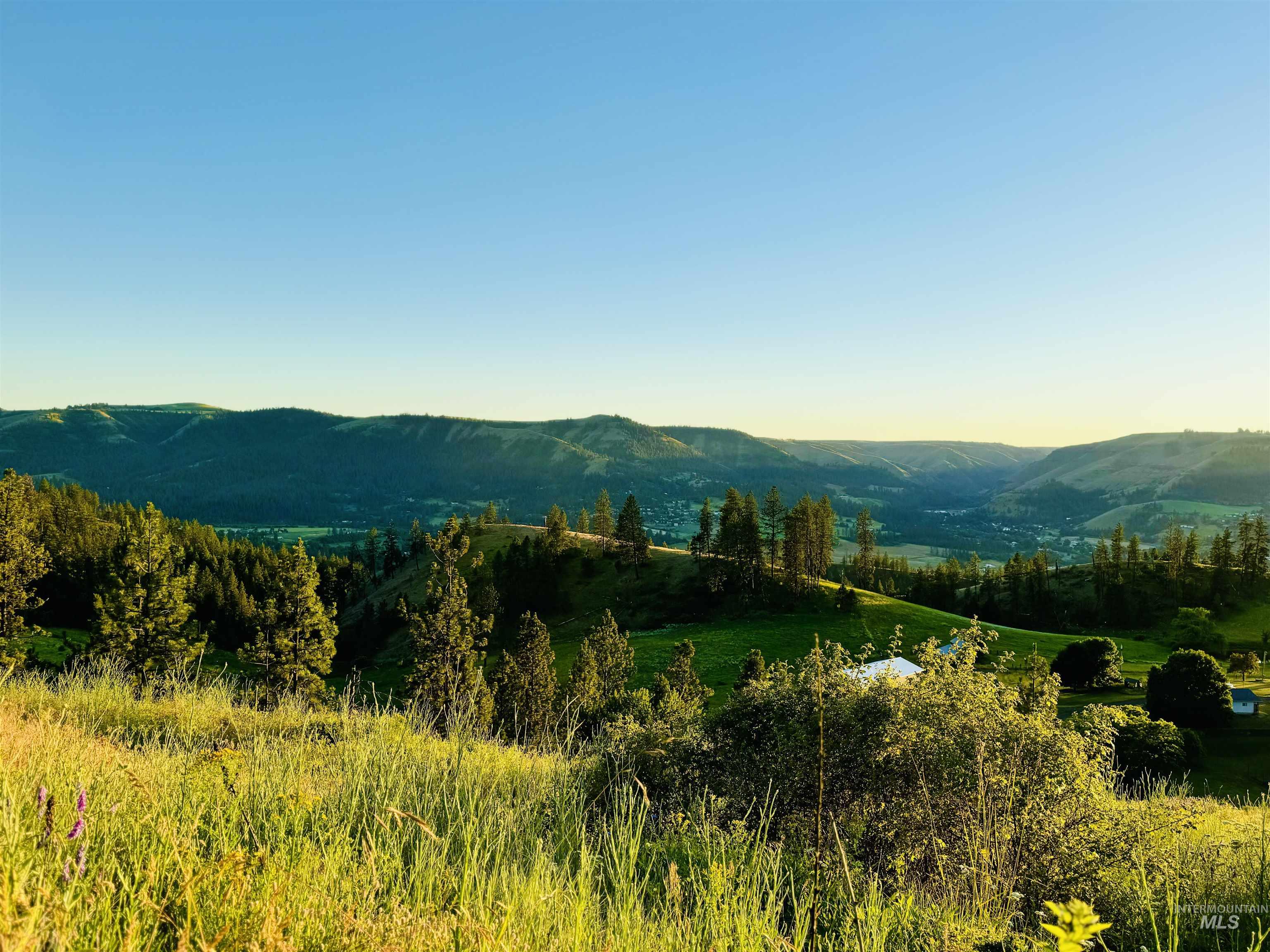 TBD Lot #3 Beaverslide Rd, Kamiah, Idaho 83536, Land For Sale, Price $175,000, 98920321