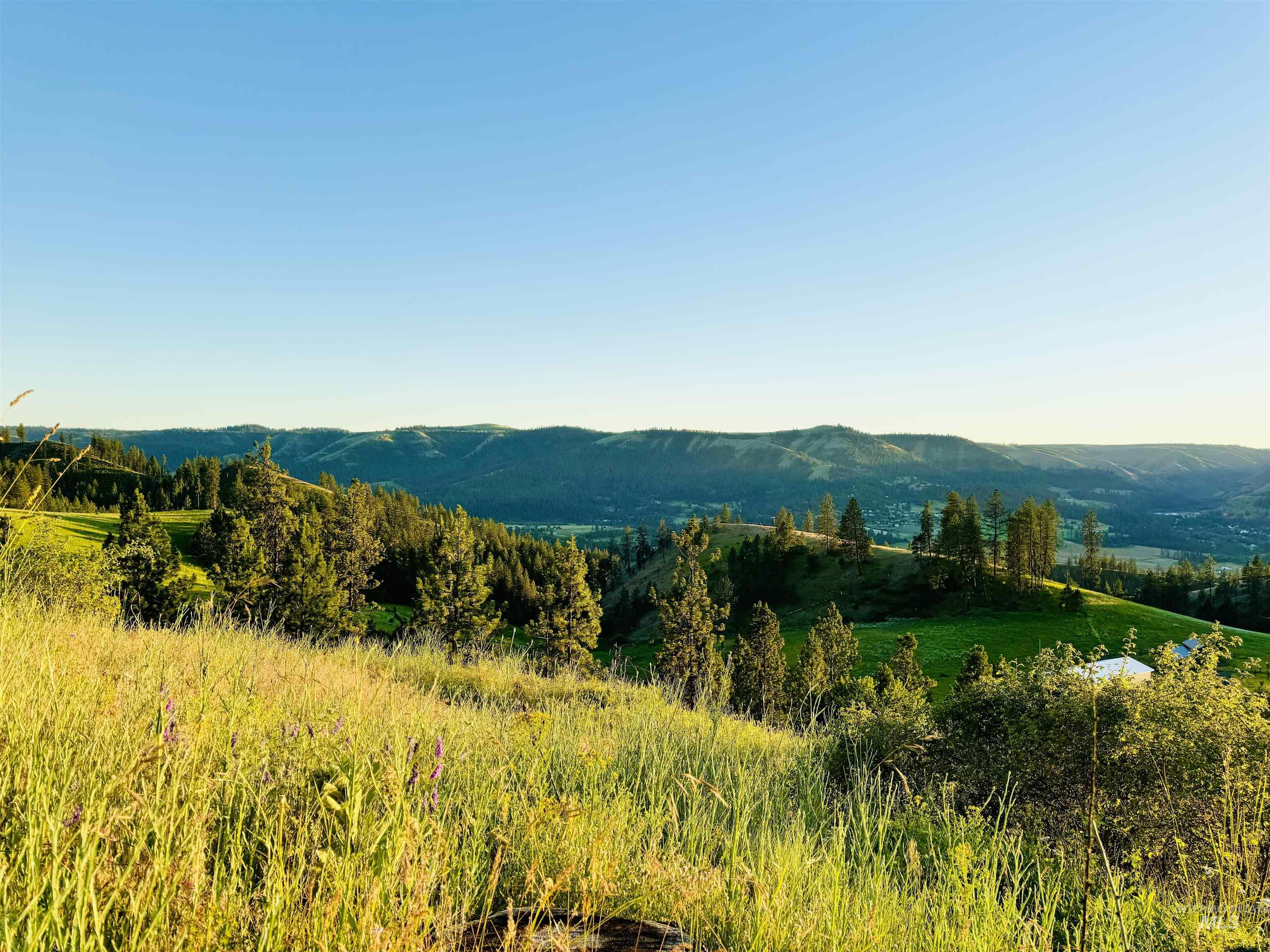 TBD Lot #3 Beaverslide Rd, Kamiah, Idaho 83536, Land For Sale, Price $175,000, 98920321