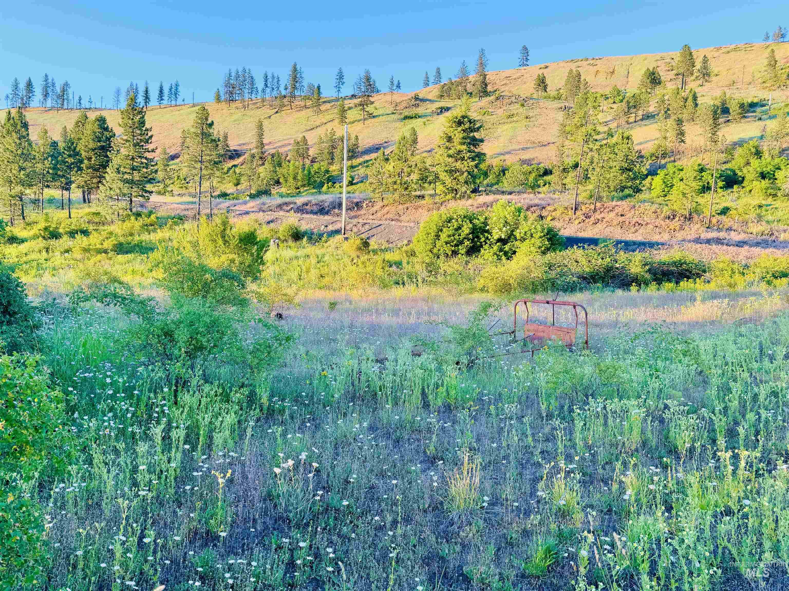 TBD Lot #3 Beaverslide Rd, Kamiah, Idaho 83536, Land For Sale, Price $175,000, 98920321