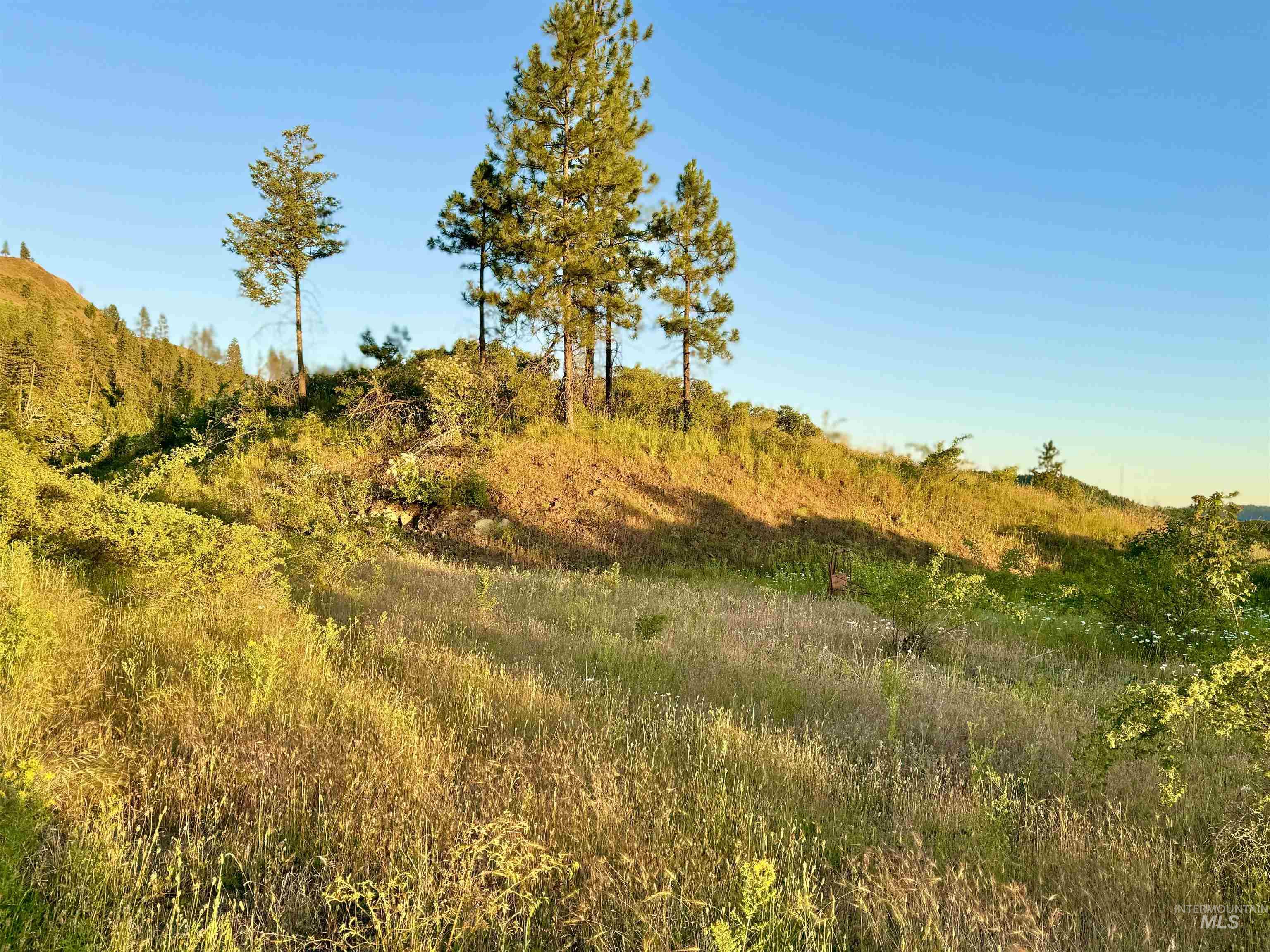 TBD Lot #3 Beaverslide Rd, Kamiah, Idaho 83536, Land For Sale, Price $175,000, 98920321