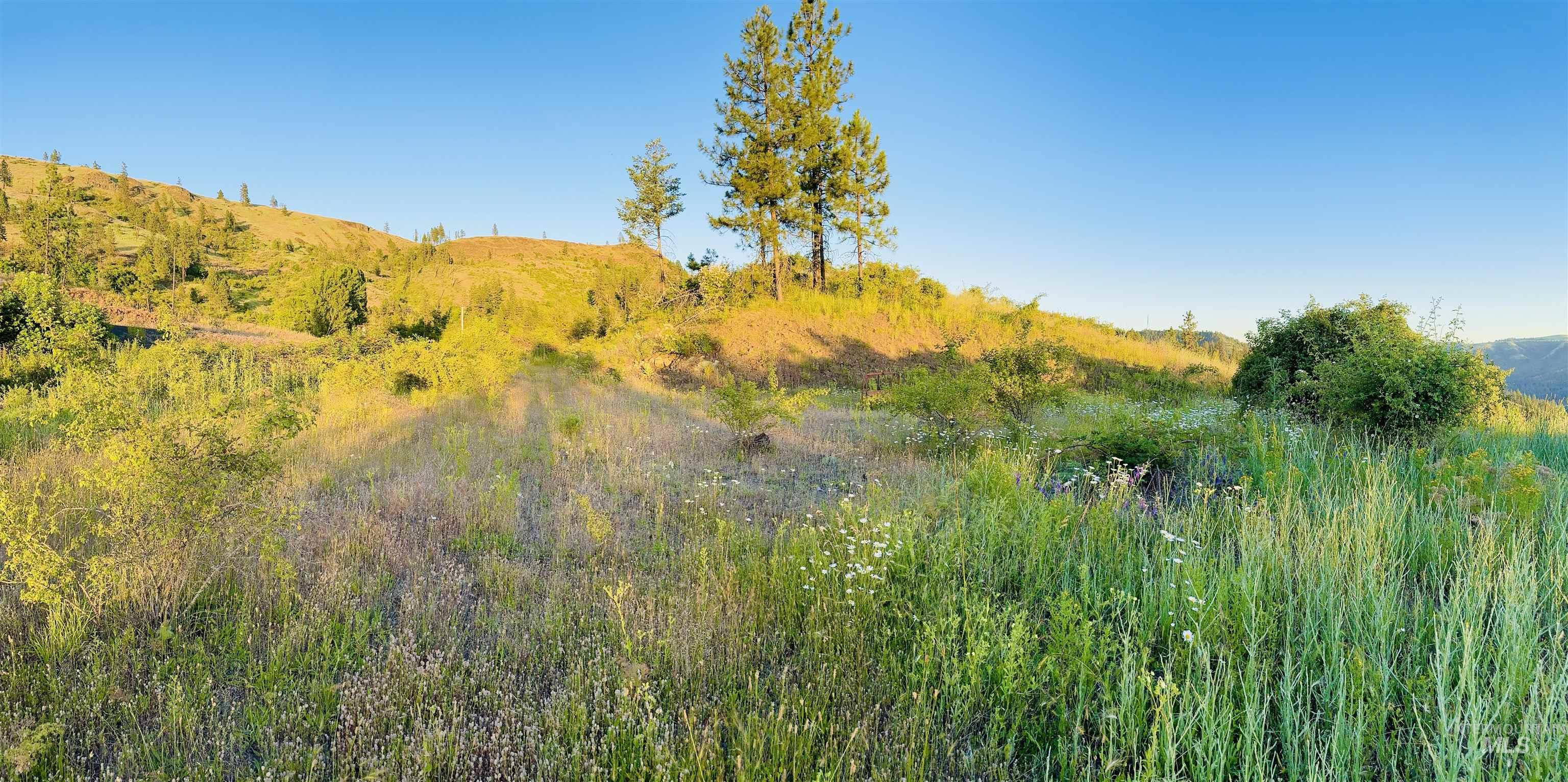 TBD Lot #3 Beaverslide Rd, Kamiah, Idaho 83536, Land For Sale, Price $175,000, 98920321