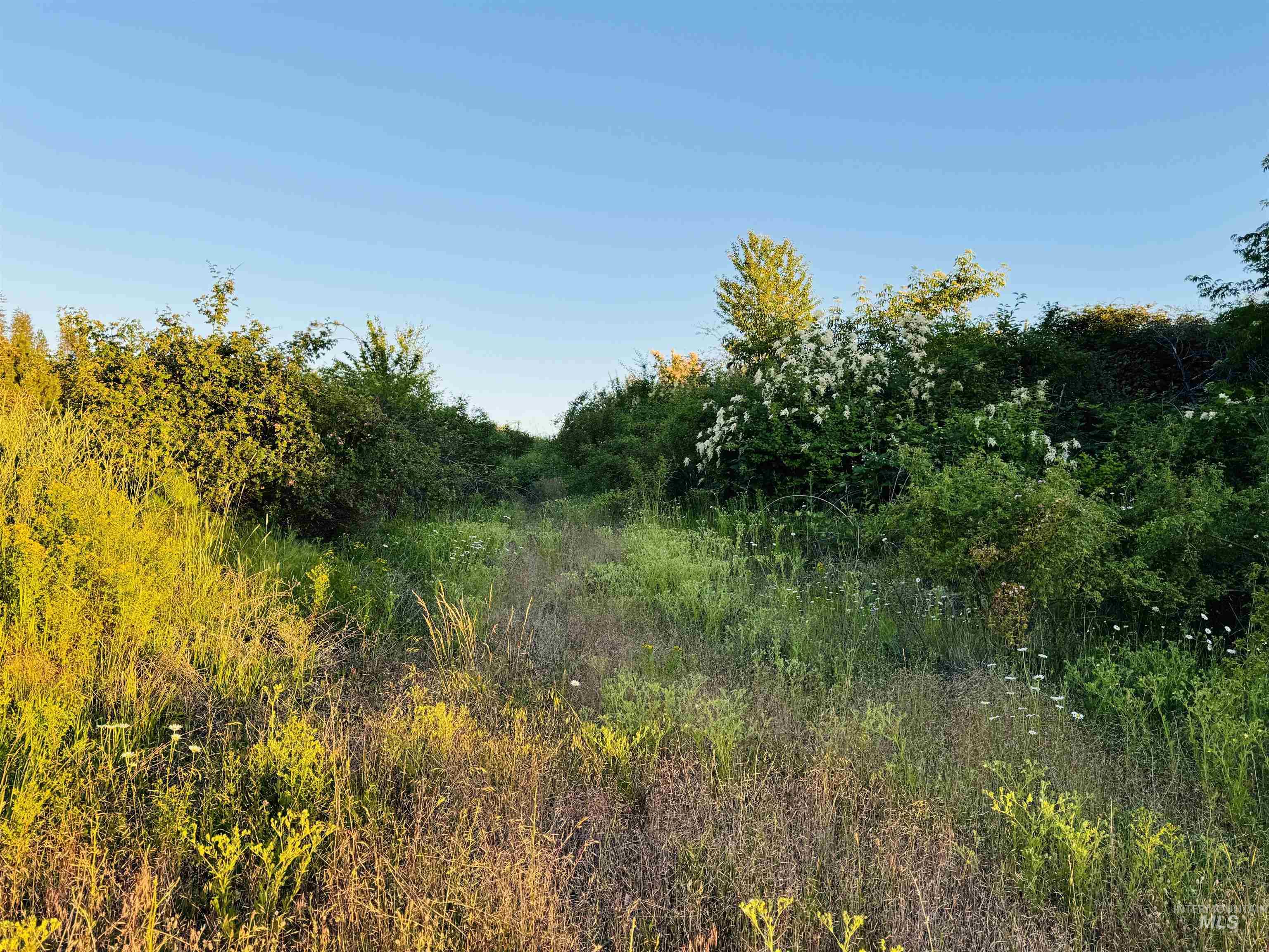 TBD Lot #3 Beaverslide Rd, Kamiah, Idaho 83536, Land For Sale, Price $175,000, 98920321