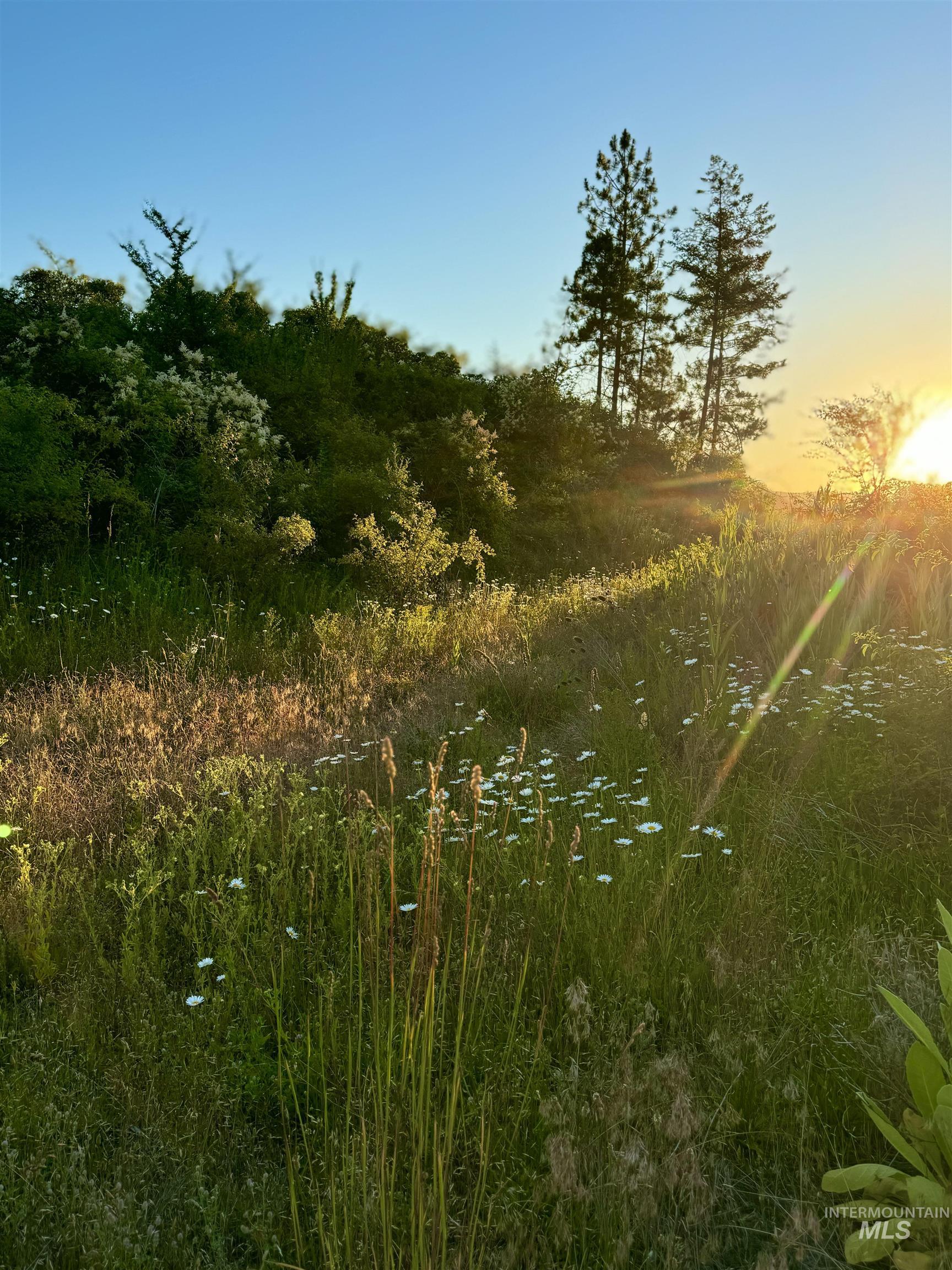 TBD Lot #3 Beaverslide Rd, Kamiah, Idaho 83536, Land For Sale, Price $175,000, 98920321