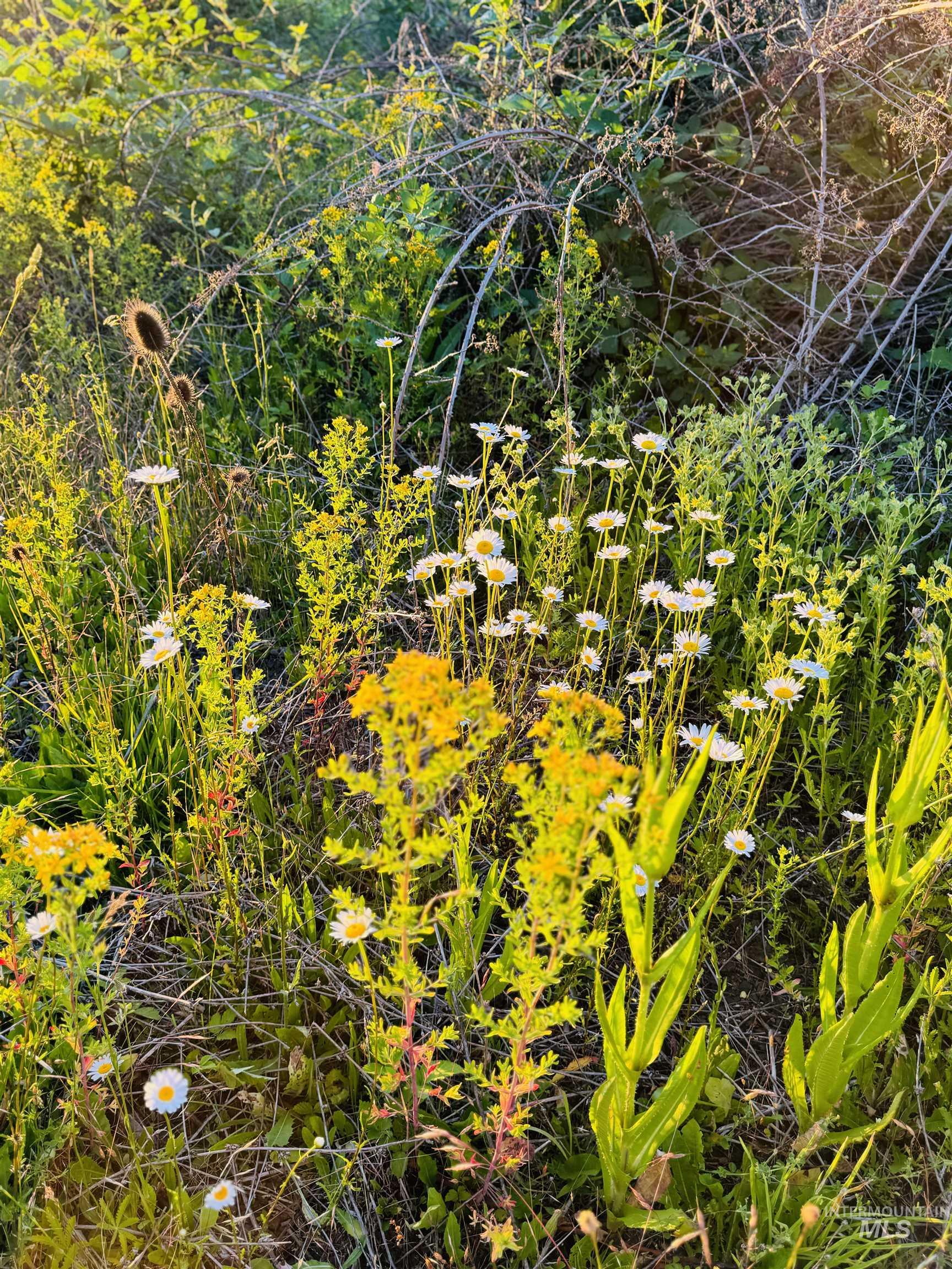 TBD Lot #3 Beaverslide Rd, Kamiah, Idaho 83536, Land For Sale, Price $175,000, 98920321