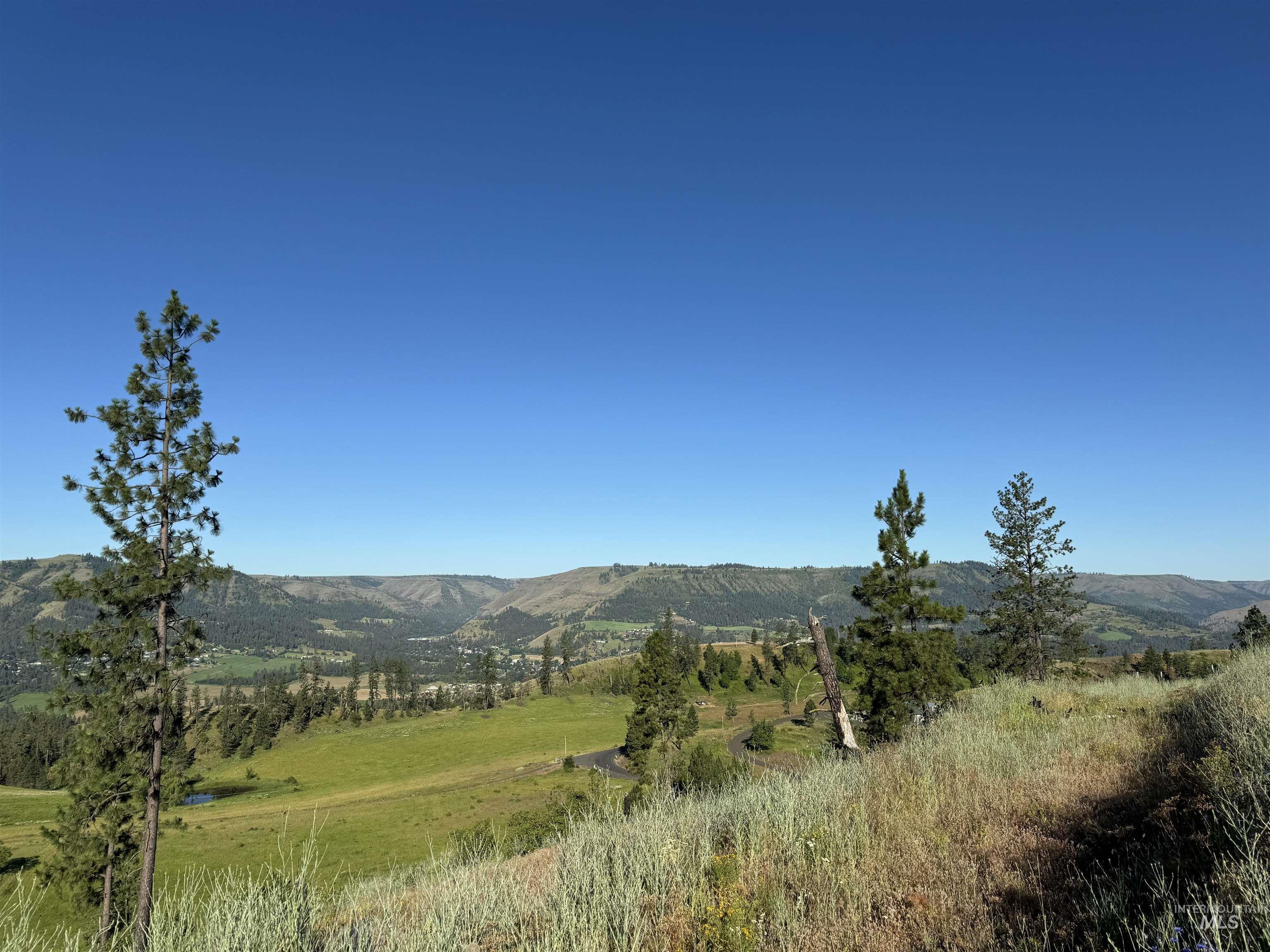 TBD Lot #4 Beaverslide Rd, Kamiah, Idaho 83536, Land For Sale, Price $160,000, 98920356