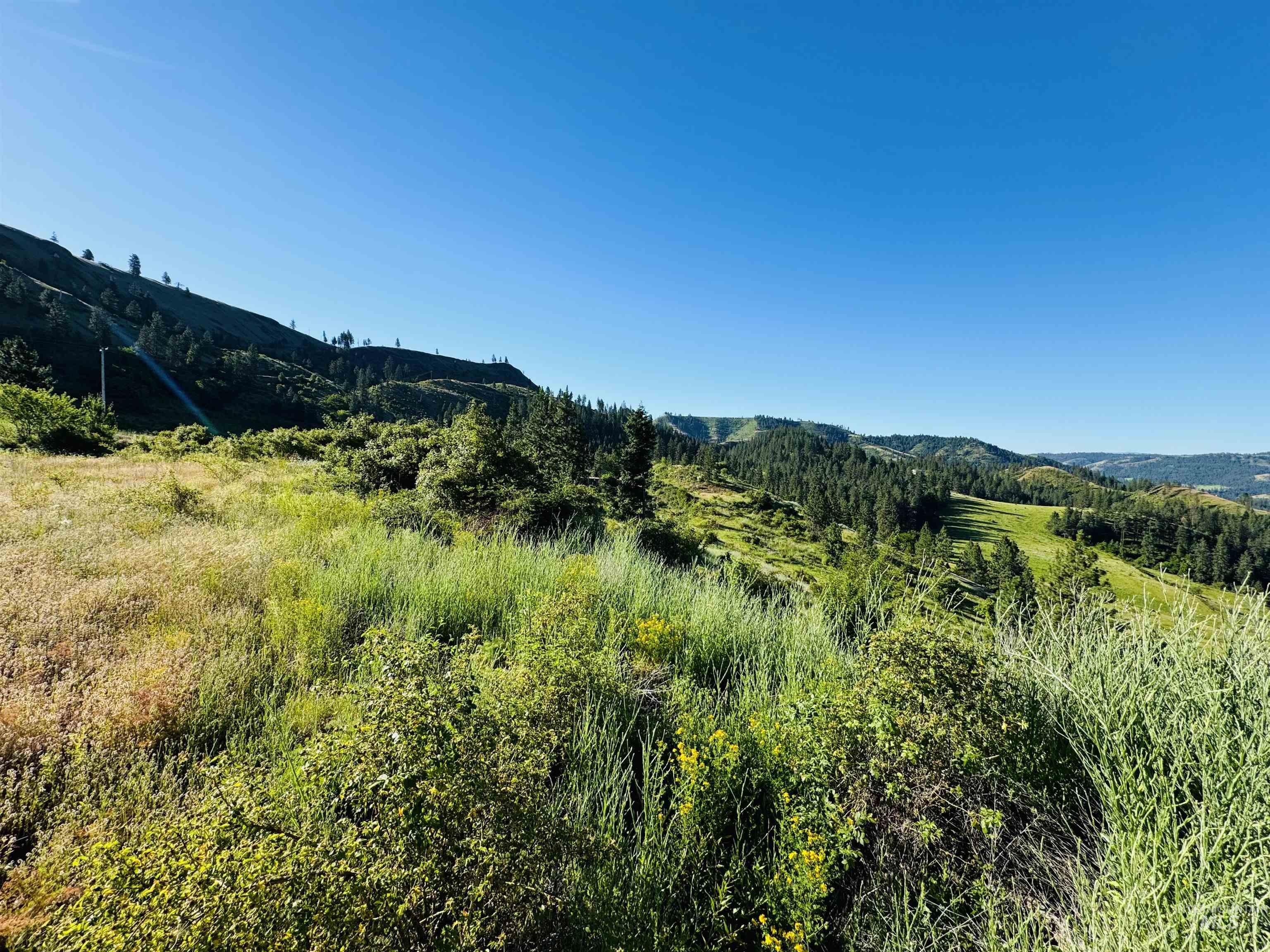TBD Lot #4 Beaverslide Rd, Kamiah, Idaho 83536, Land For Sale, Price $160,000, 98920356