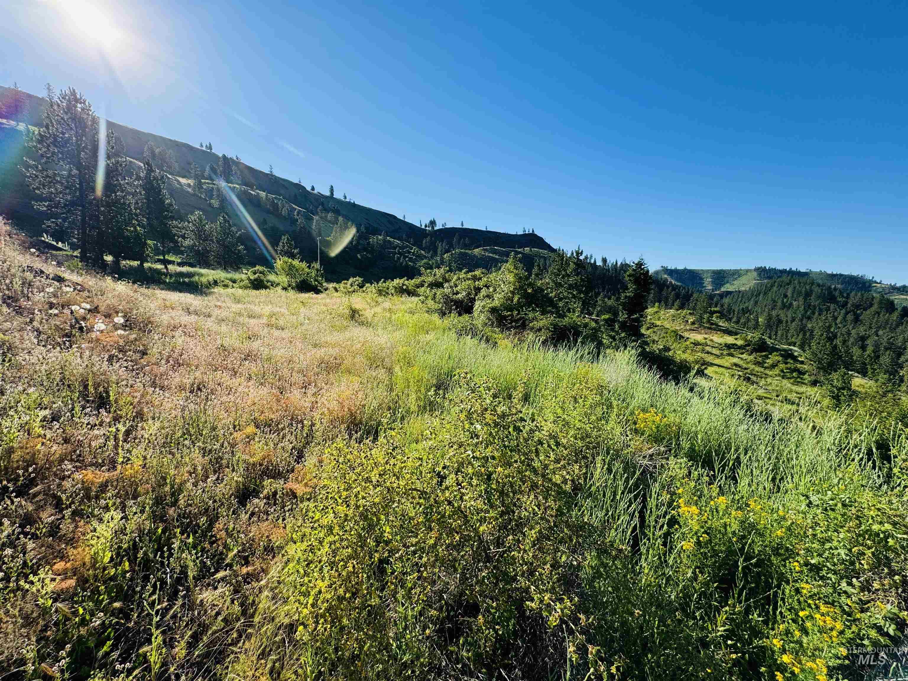 TBD Lot #4 Beaverslide Rd, Kamiah, Idaho 83536, Land For Sale, Price $160,000, 98920356