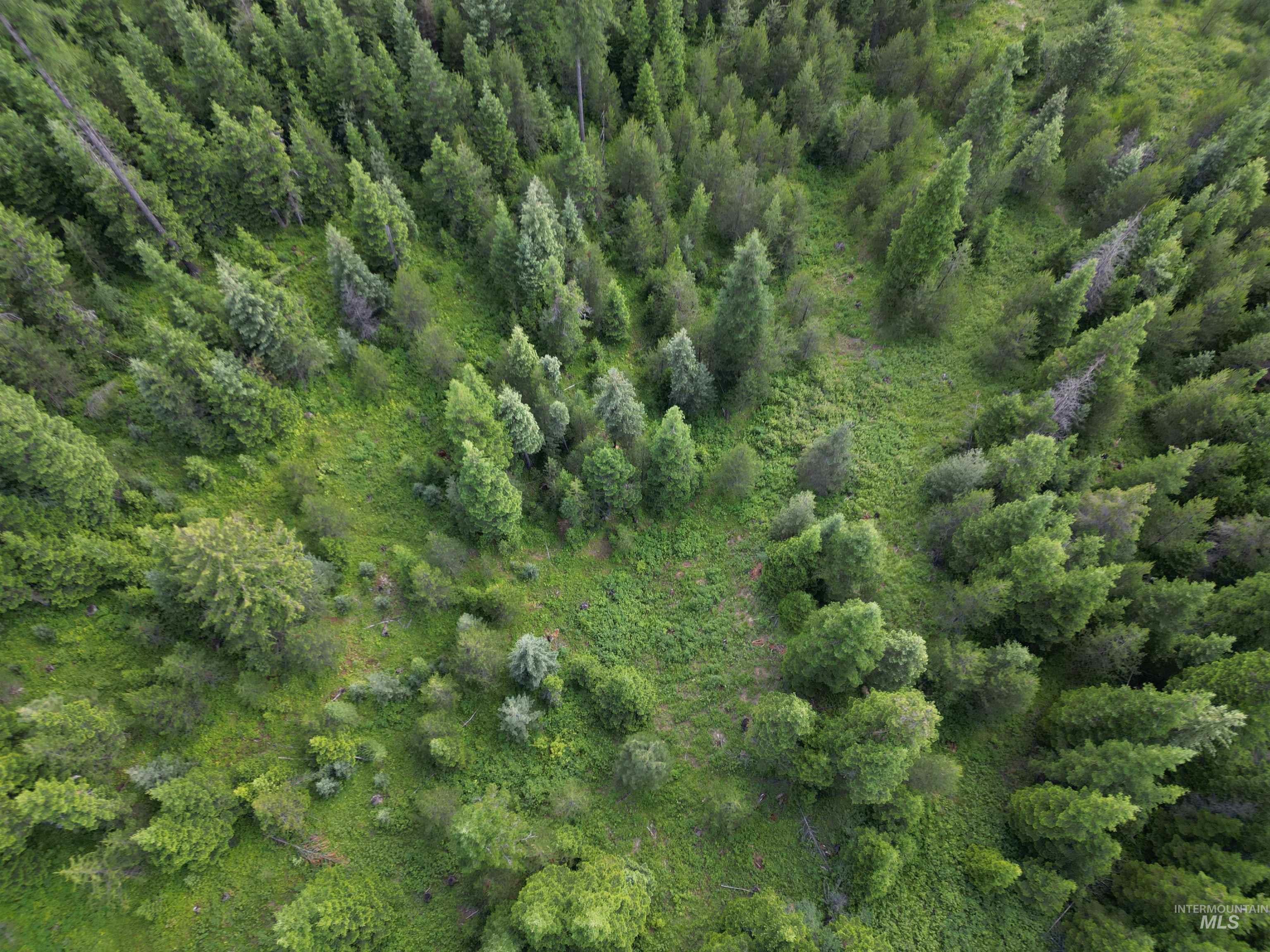 000 Sanderson, Bovill, Idaho 83806, Land For Sale, Price $194,500, 98920391