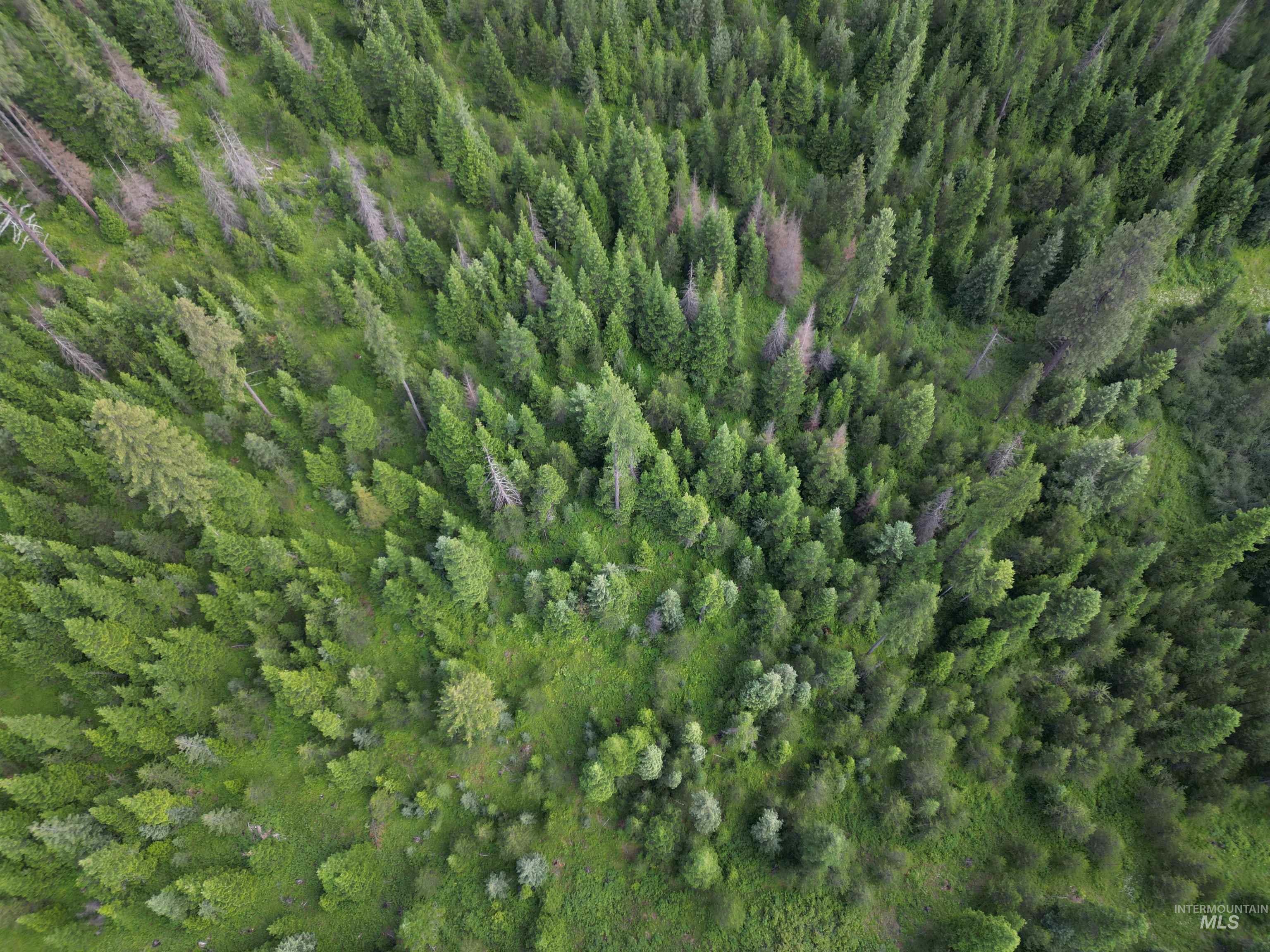 000 Sanderson, Bovill, Idaho 83806, Land For Sale, Price $194,500, 98920391