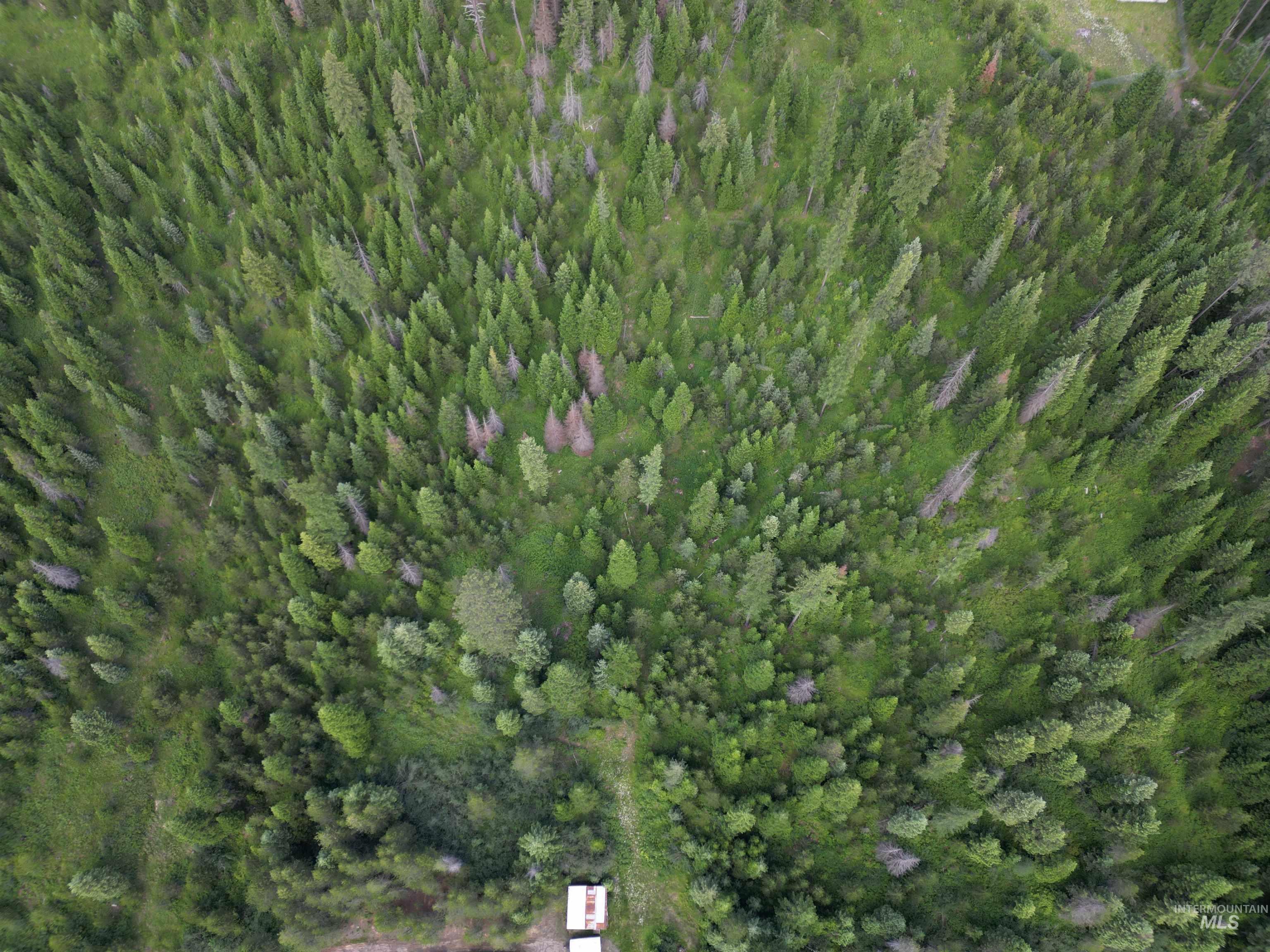 000 Sanderson, Bovill, Idaho 83806, Land For Sale, Price $194,500, 98920391