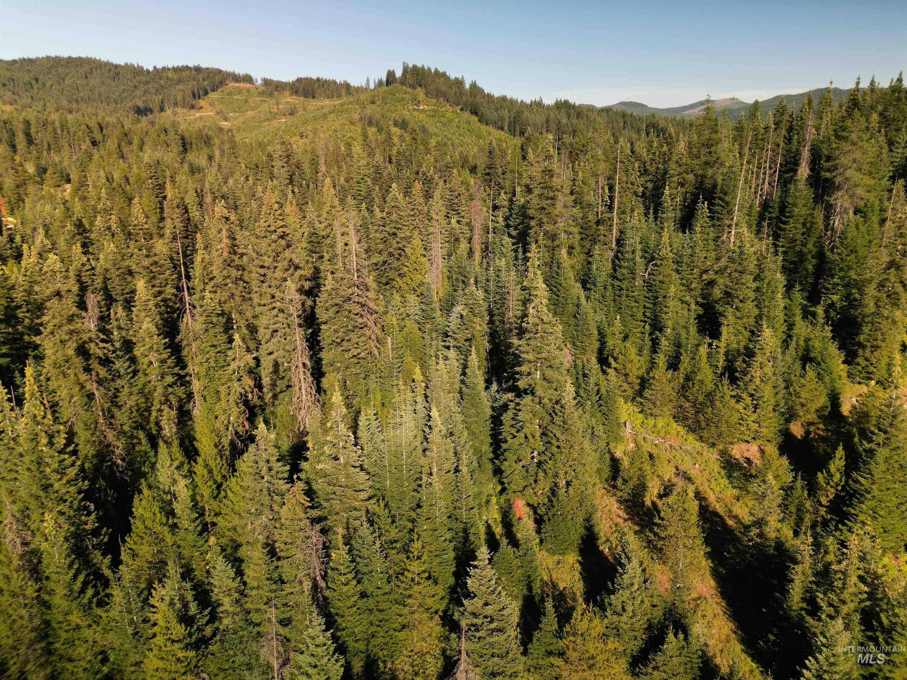 000 Sanderson, Bovill, Idaho 83806, Land For Sale, Price $194,500, 98920391