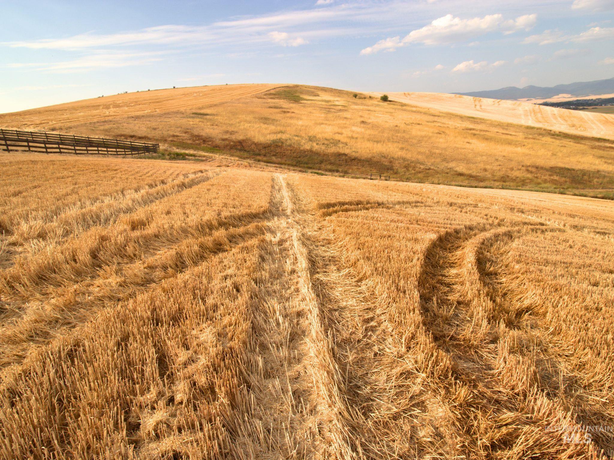 000 Murphy Lane, Lot 1, Moscow, Idaho 83843, Land For Sale, Price $255,000,MLS 98920401