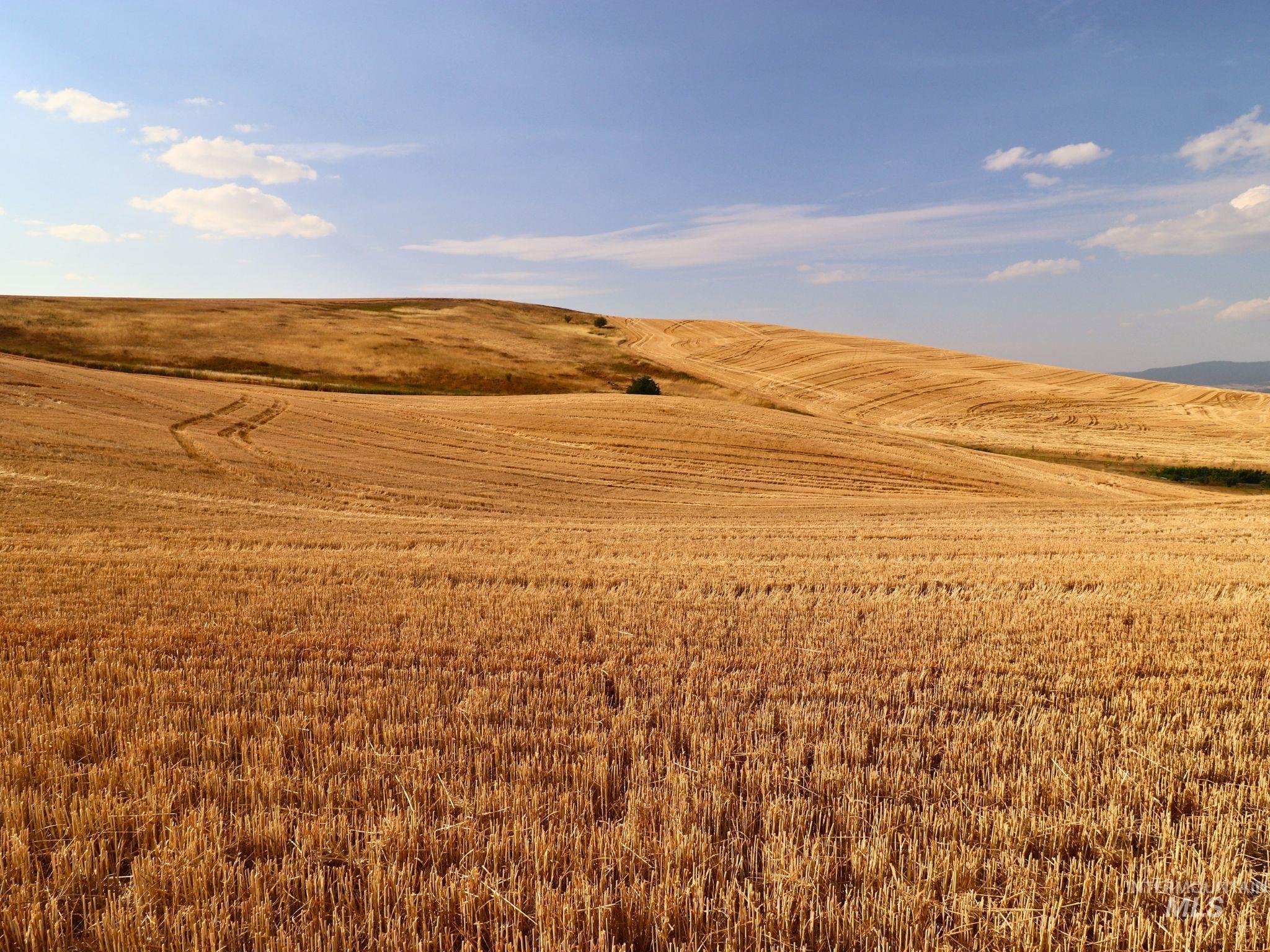 000 Murphy Lane, Lot 1, Moscow, Idaho 83843, Land For Sale, Price $255,000,MLS 98920401