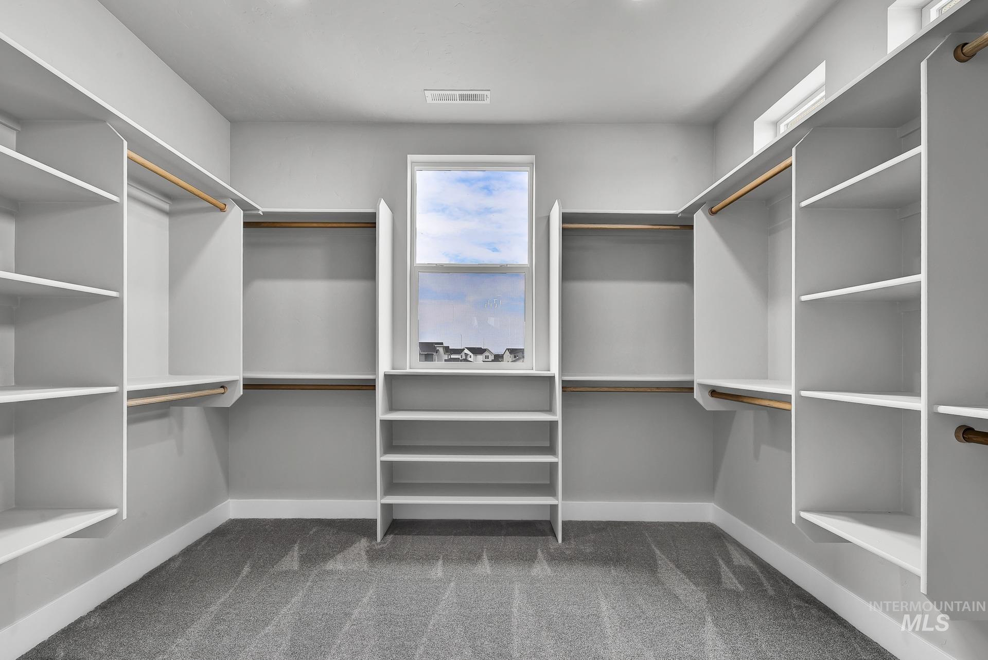 Walk in closet with carpet
