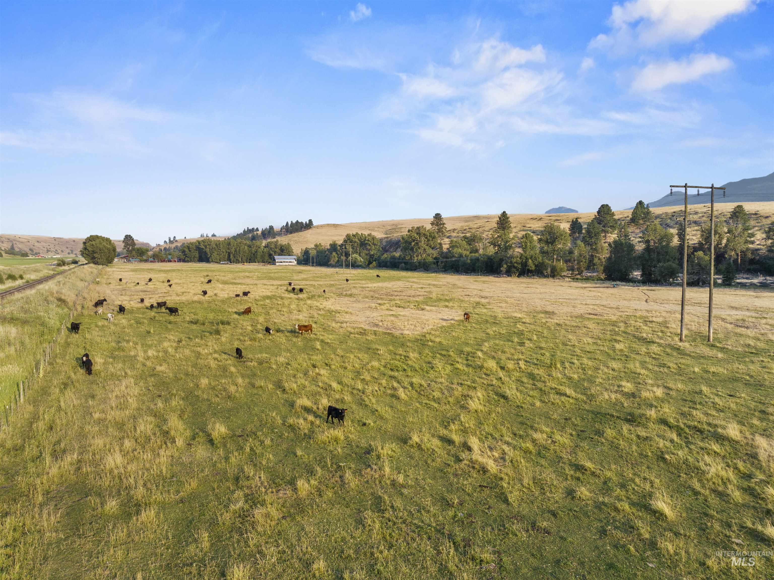 66816 Sunrise Rd., Enterprise, Oregon 97828, 3 Bedrooms, 2 Bathrooms, Farm & Ranch For Sale, Price $1,325,000, 98920463