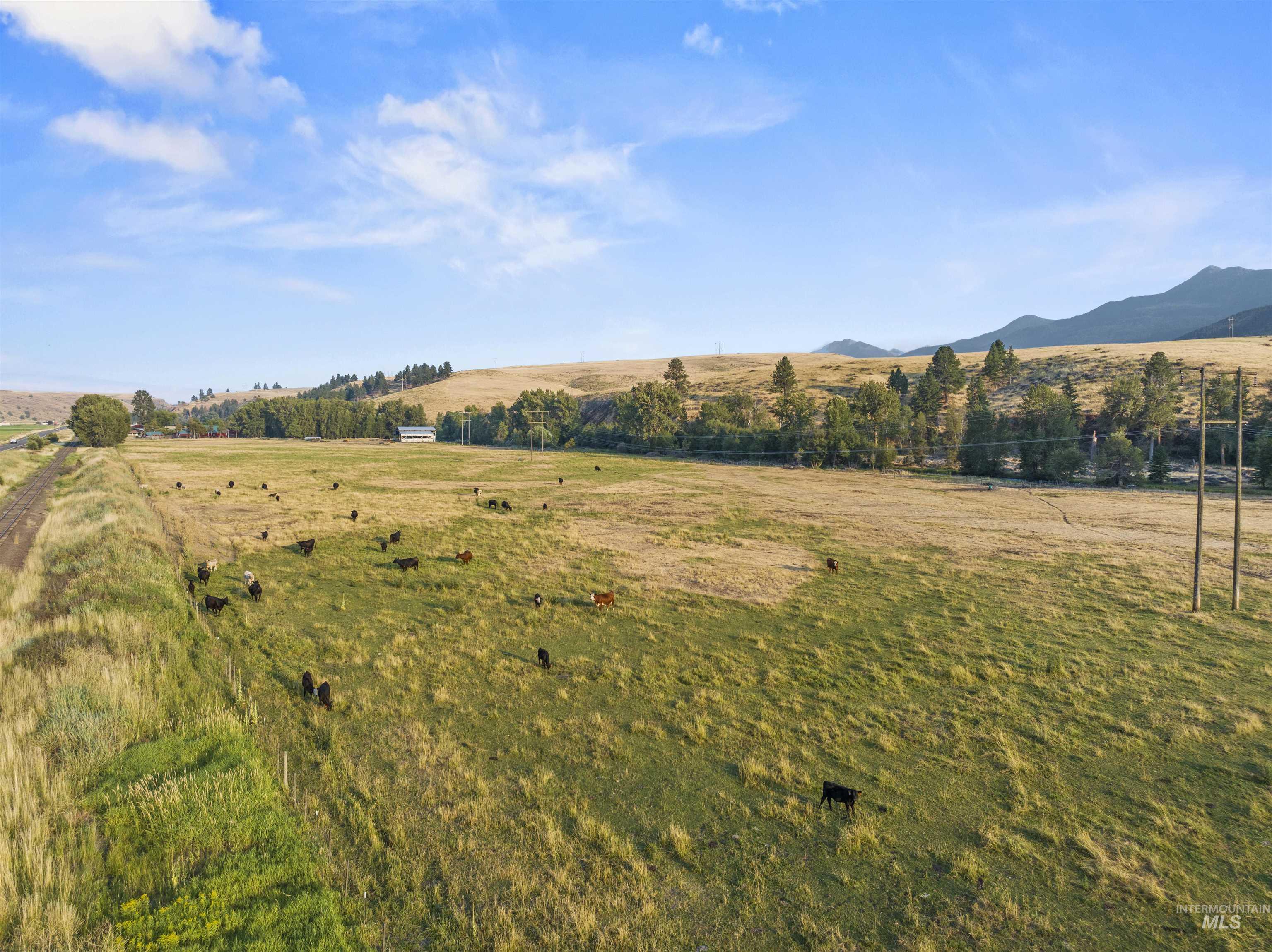 66816 Sunrise Rd., Enterprise, Oregon 97828, 3 Bedrooms, 2 Bathrooms, Farm & Ranch For Sale, Price $1,325,000, 98920463