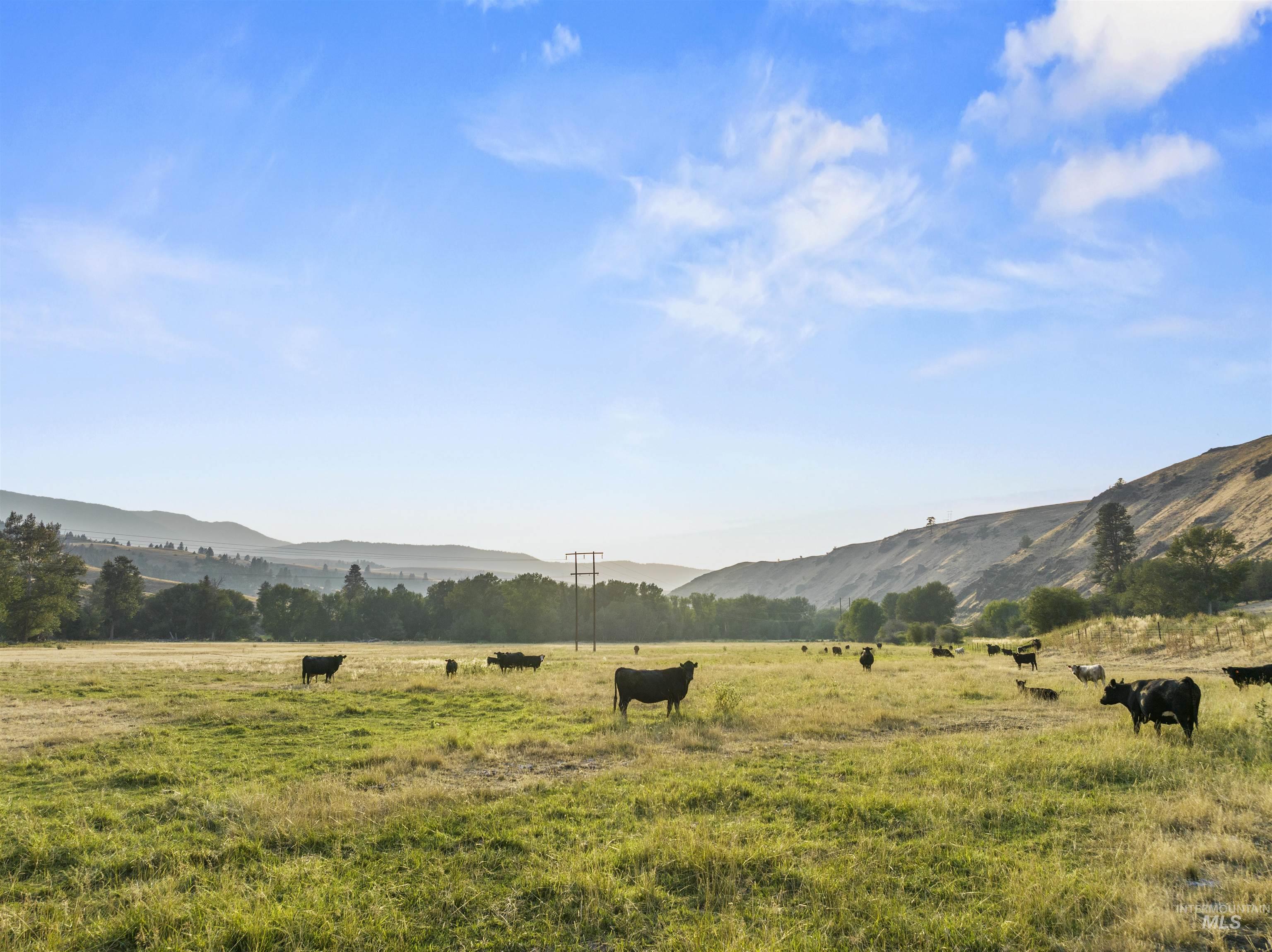 66816 Sunrise Rd., Enterprise, Oregon 97828, 3 Bedrooms, 2 Bathrooms, Farm & Ranch For Sale, Price $1,325,000, 98920463