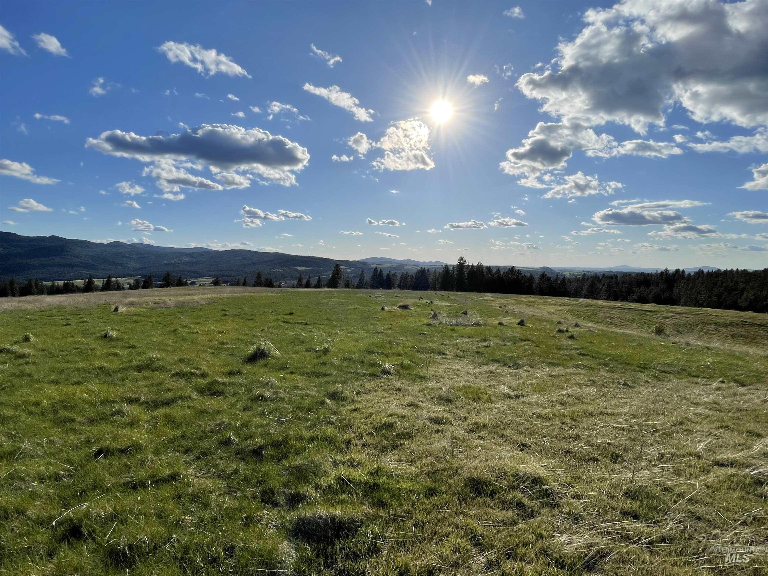 1204 Morris Road, Princeton, Idaho 83857, Land For Sale, Price $488,000,MLS 98920468