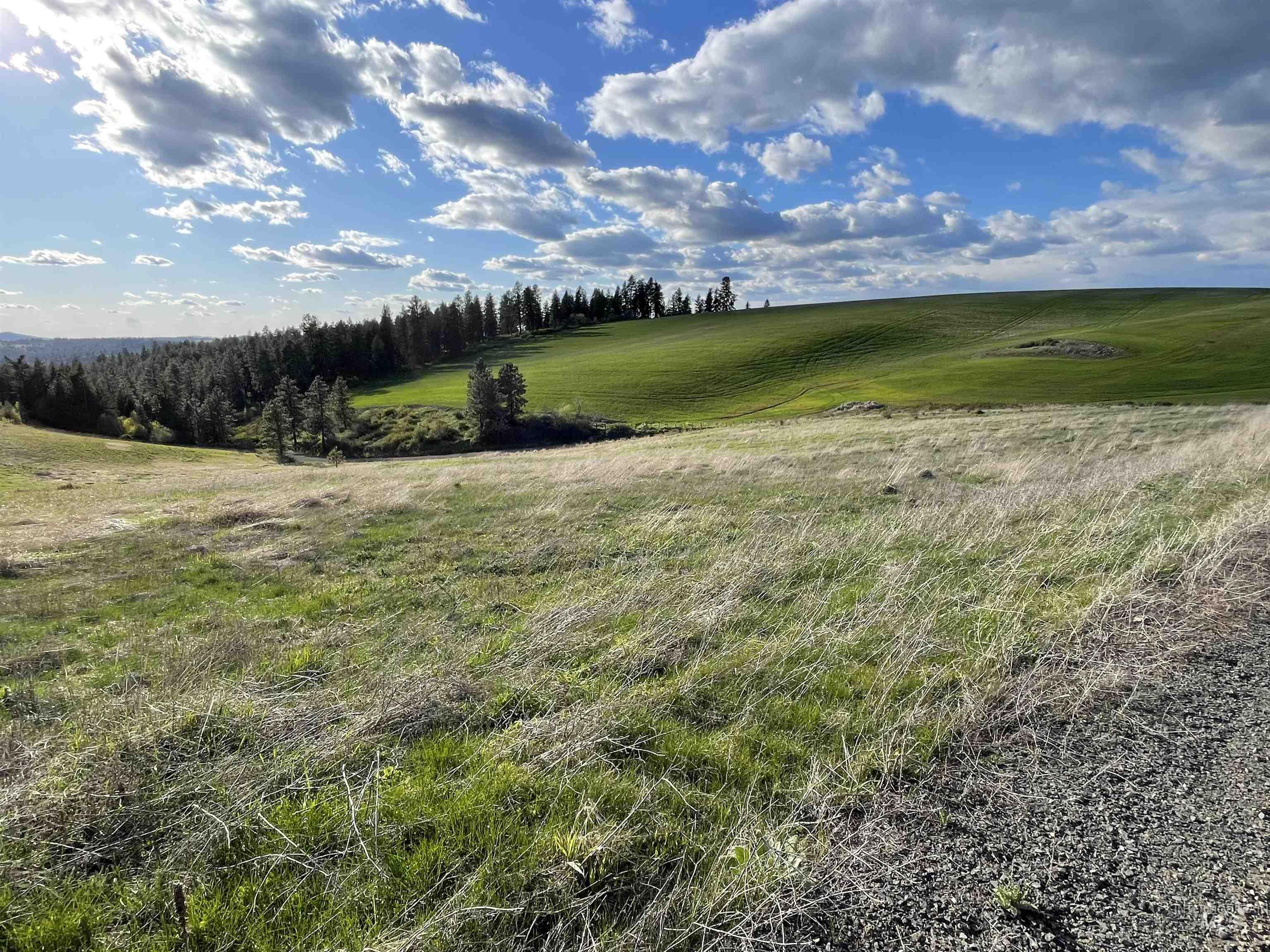 1204 Morris Road, Princeton, Idaho 83857, Land For Sale, Price $488,000,MLS 98920468