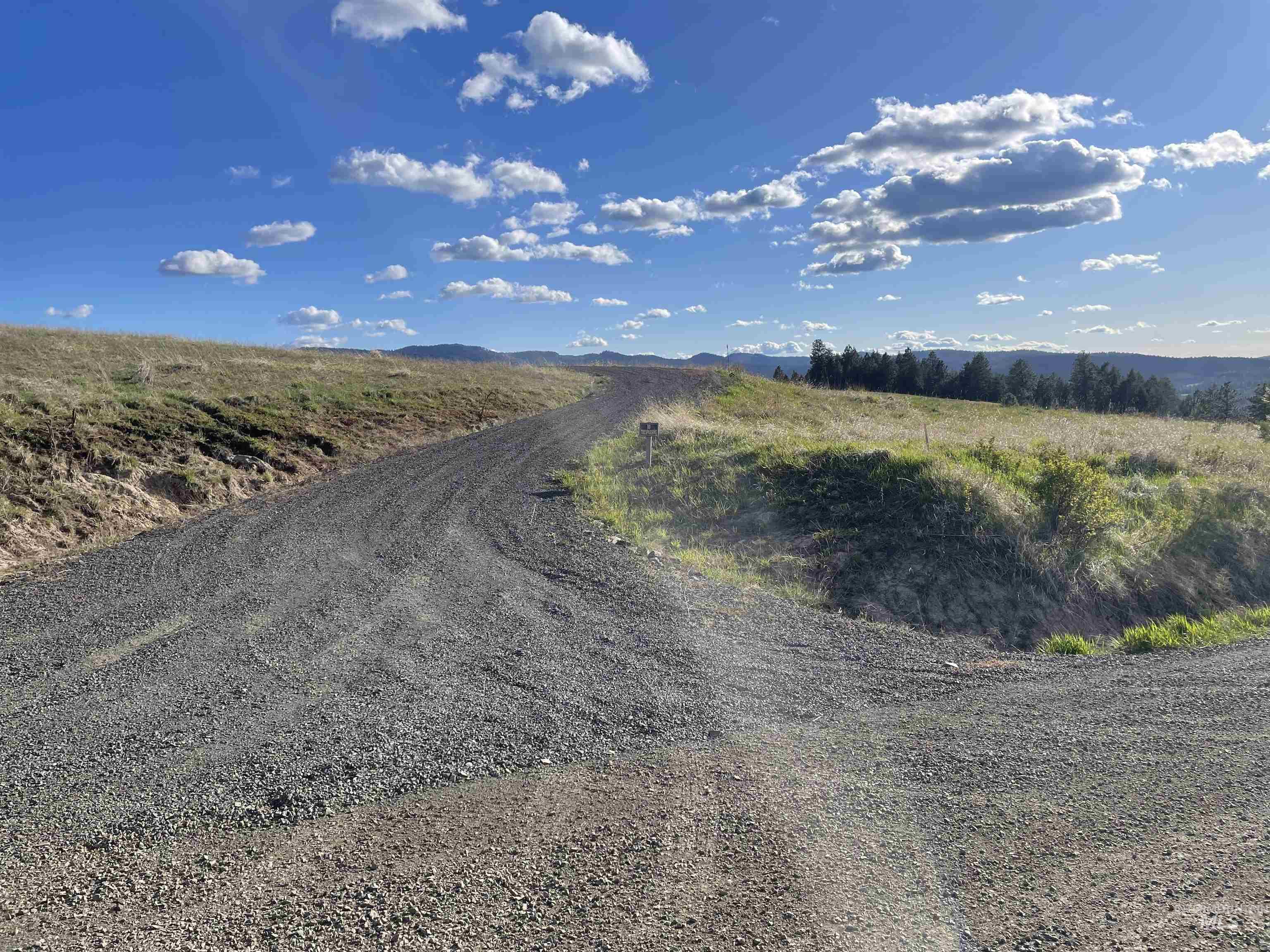 1204 Morris Road, Princeton, Idaho 83857, Land For Sale, Price $488,000,MLS 98920468