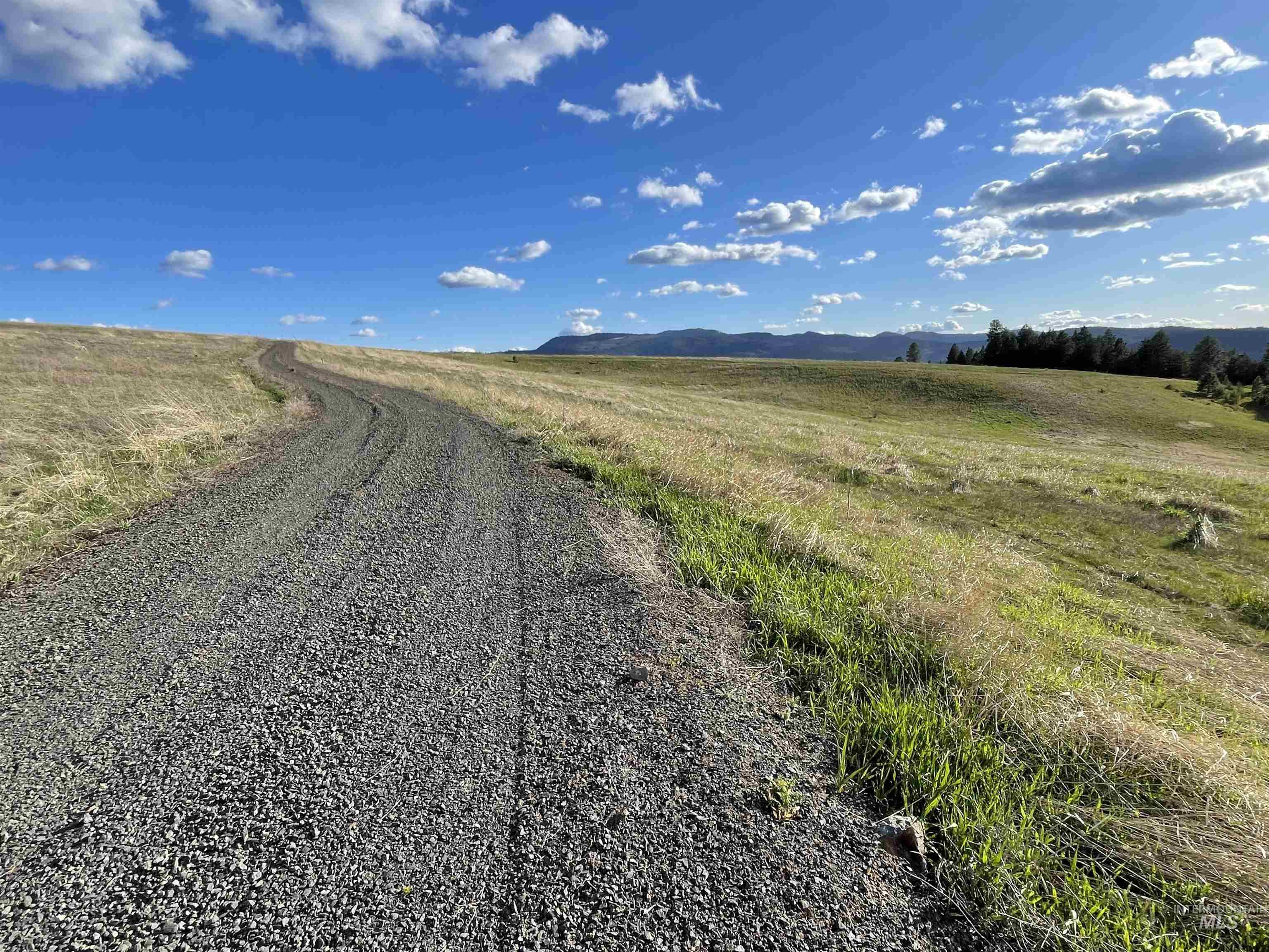 1204 Morris Road, Princeton, Idaho 83857, Land For Sale, Price $488,000,MLS 98920468