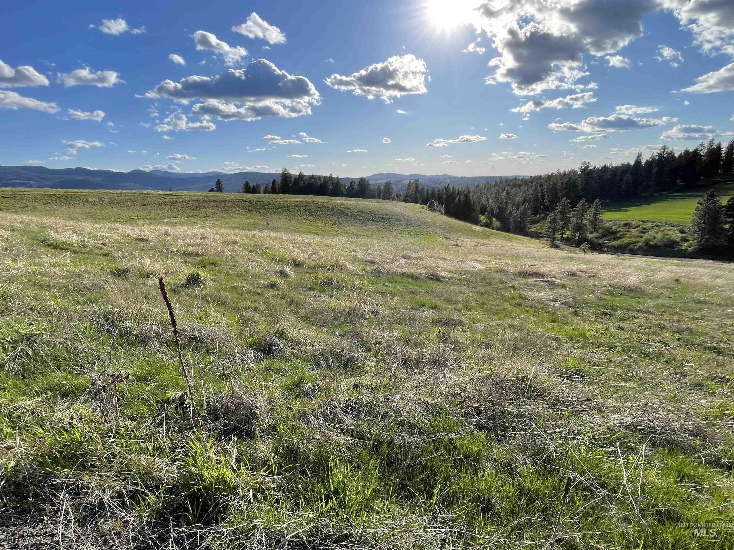 1204 Morris Road, Princeton, Idaho 83857, Land For Sale, Price $488,000,MLS 98920468