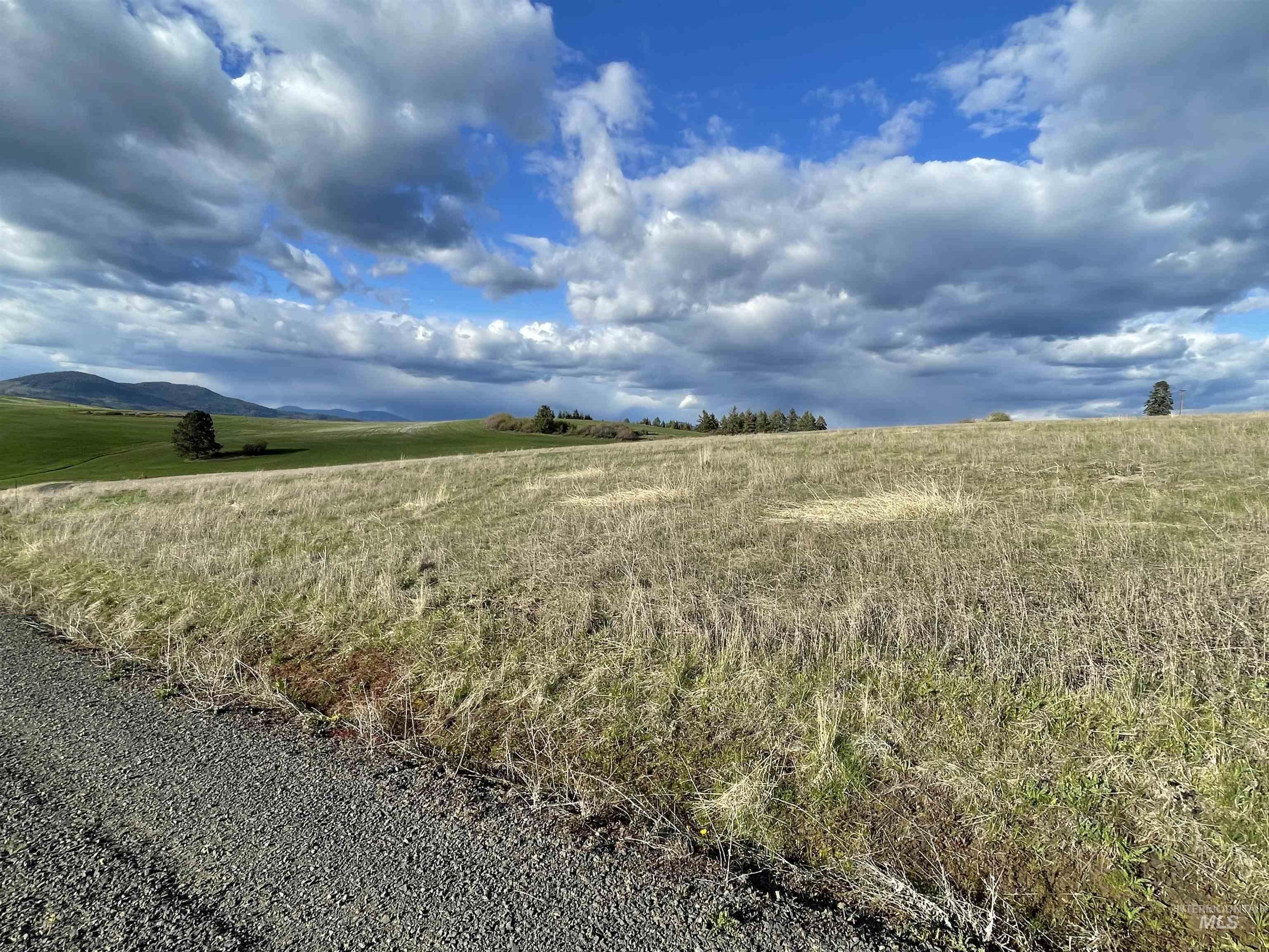 1204 Morris Road, Princeton, Idaho 83857, Land For Sale, Price $488,000,MLS 98920468